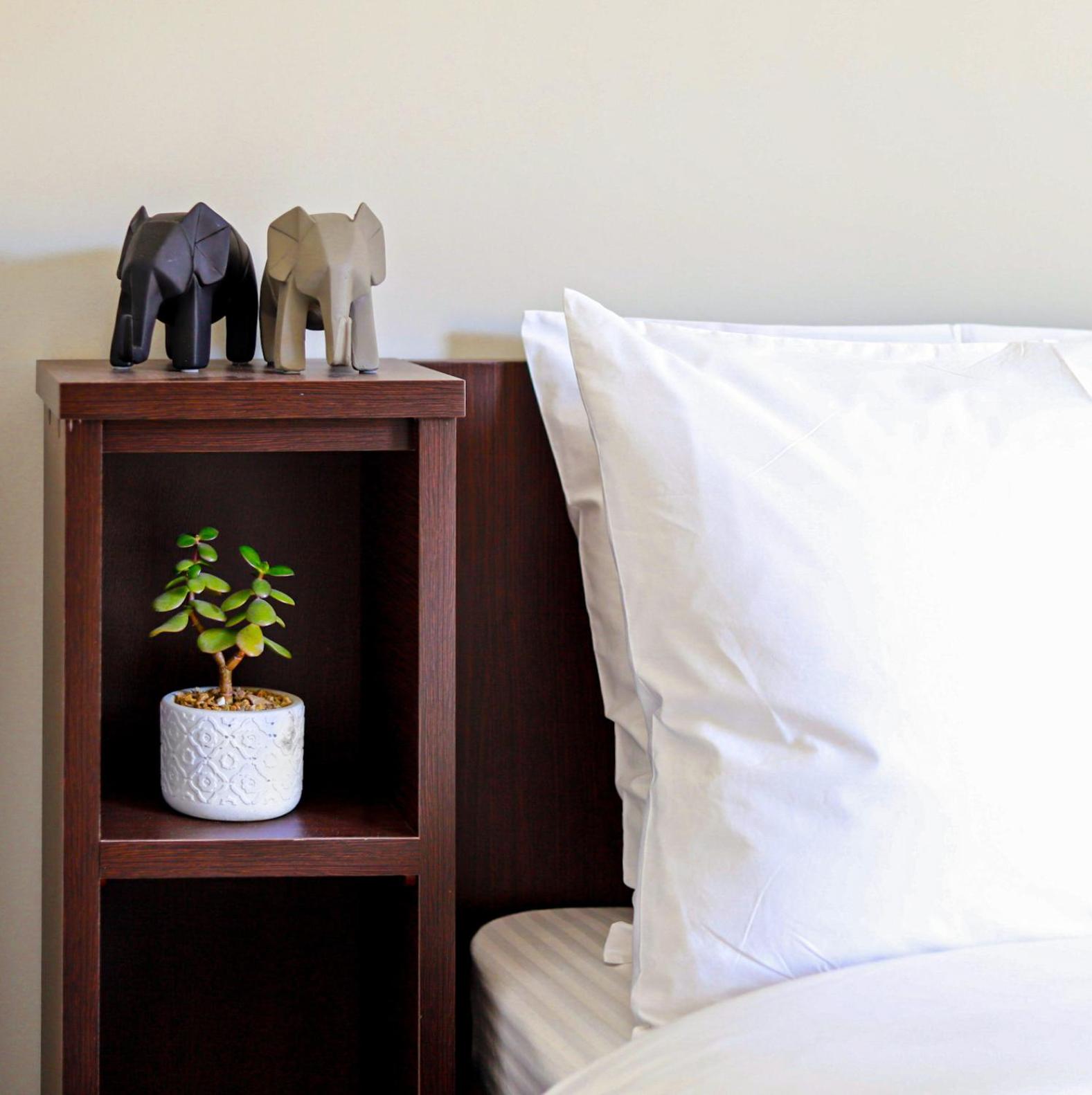 Cutie Studio Apartment in Koukaki