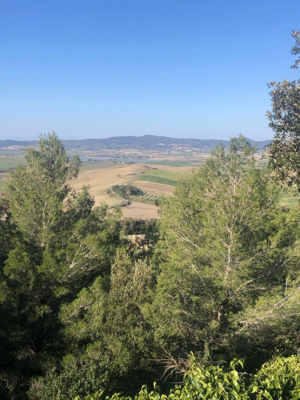 other