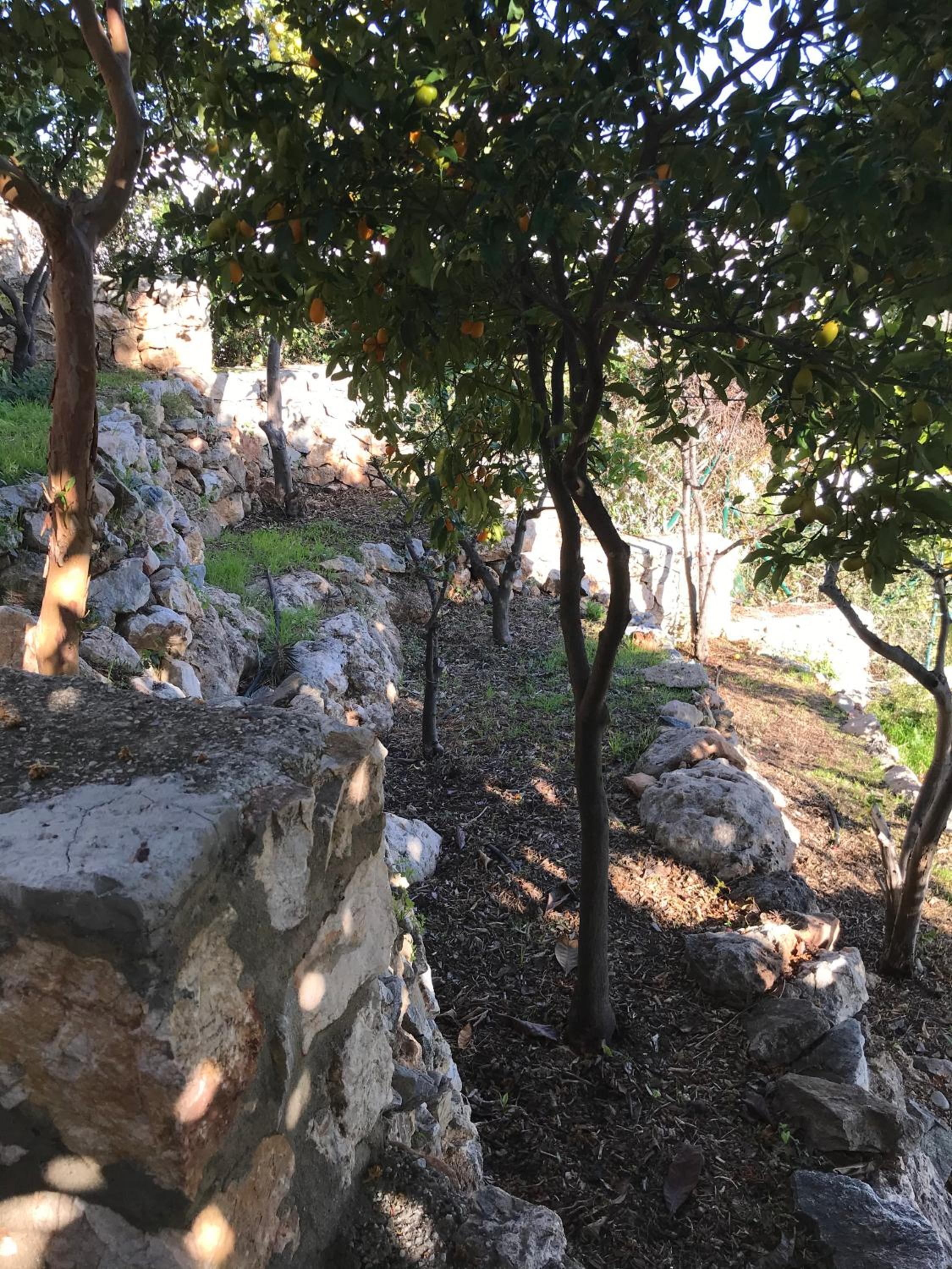Photo 21