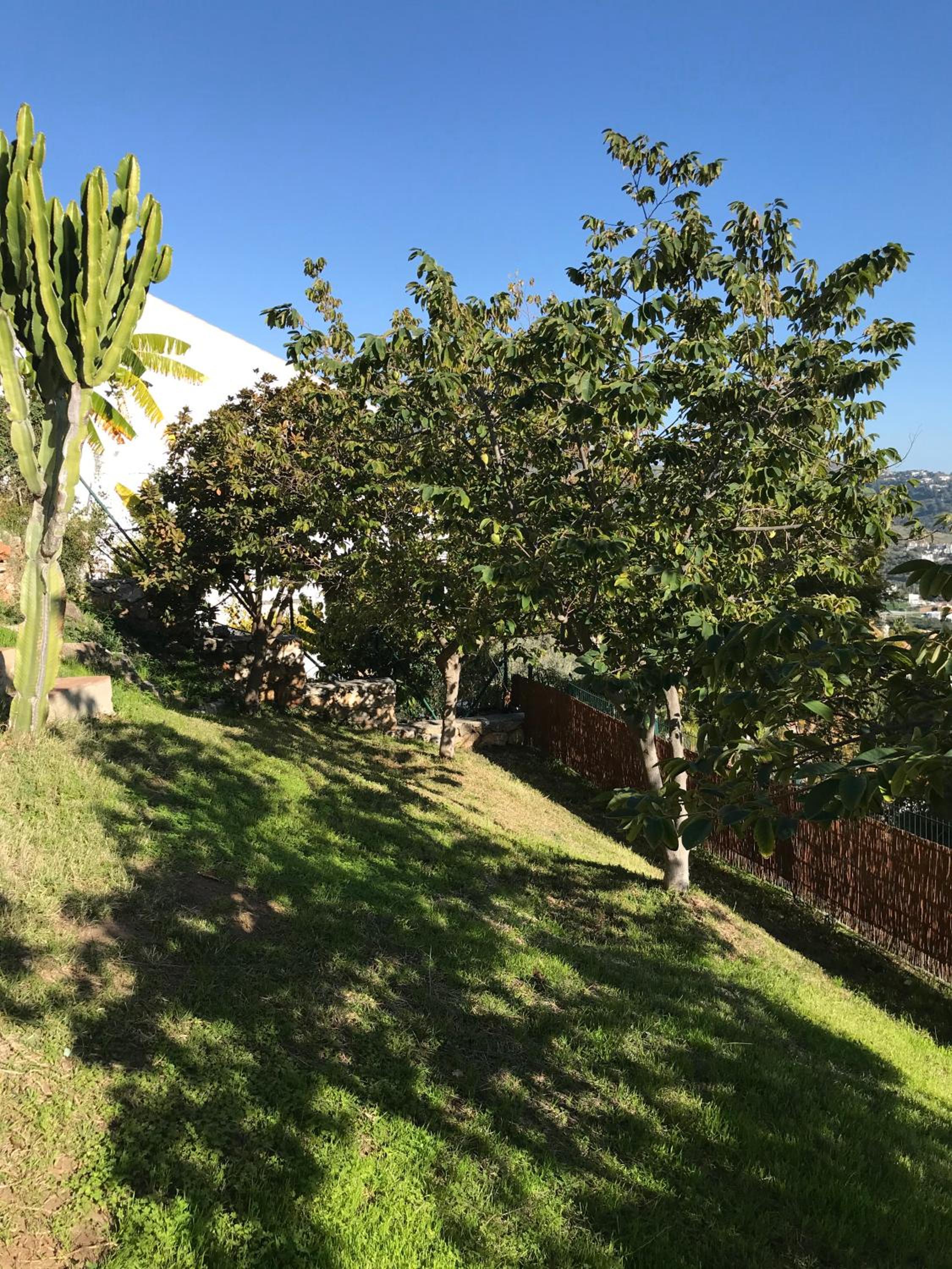 Photo 28