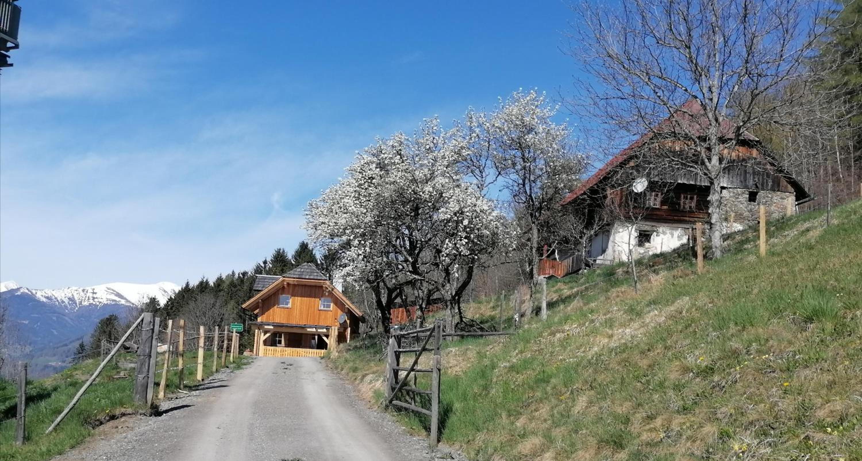 Lärchenhaus ,,Unterer Brodl