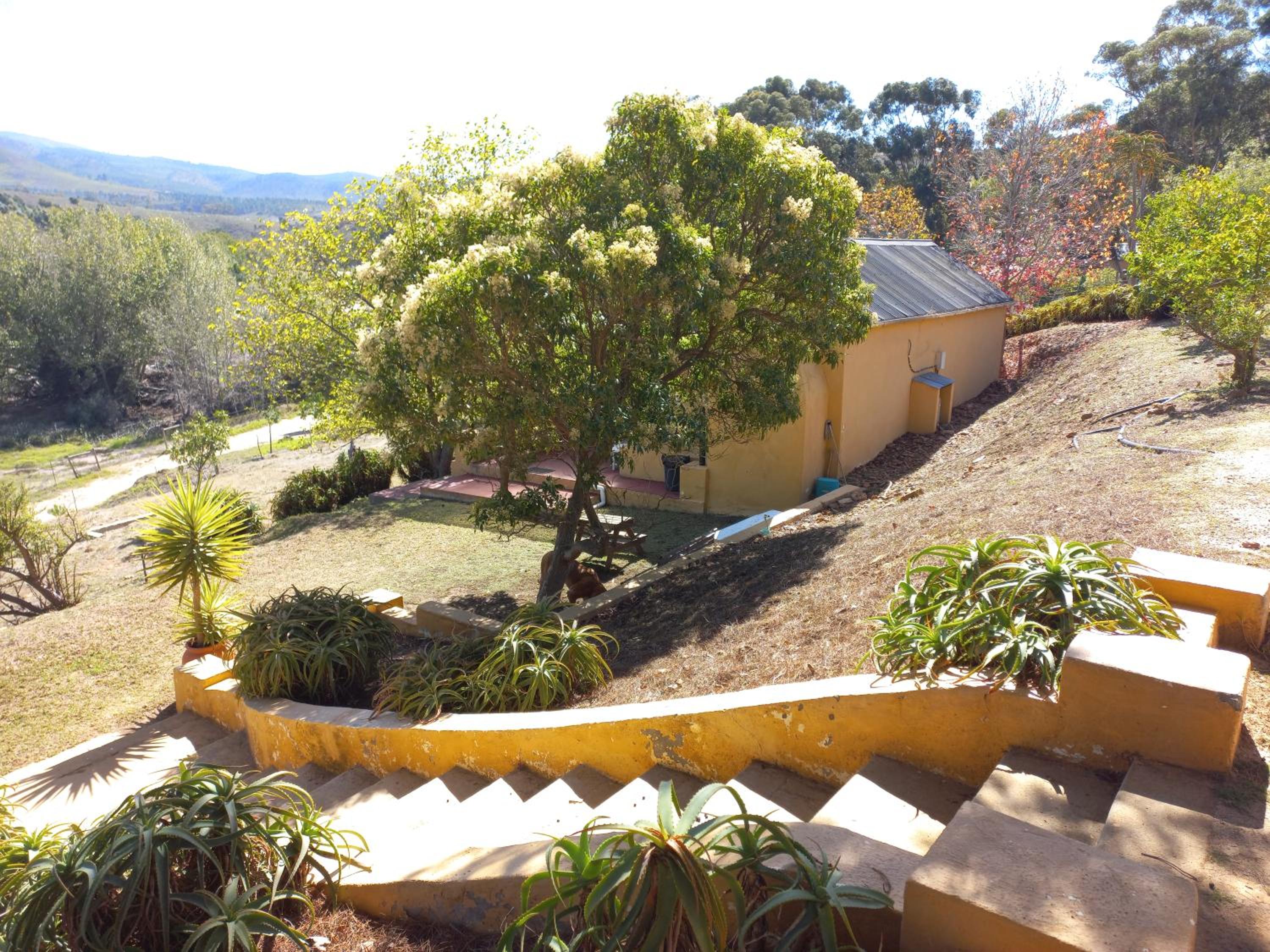 Swaynekloof Farm