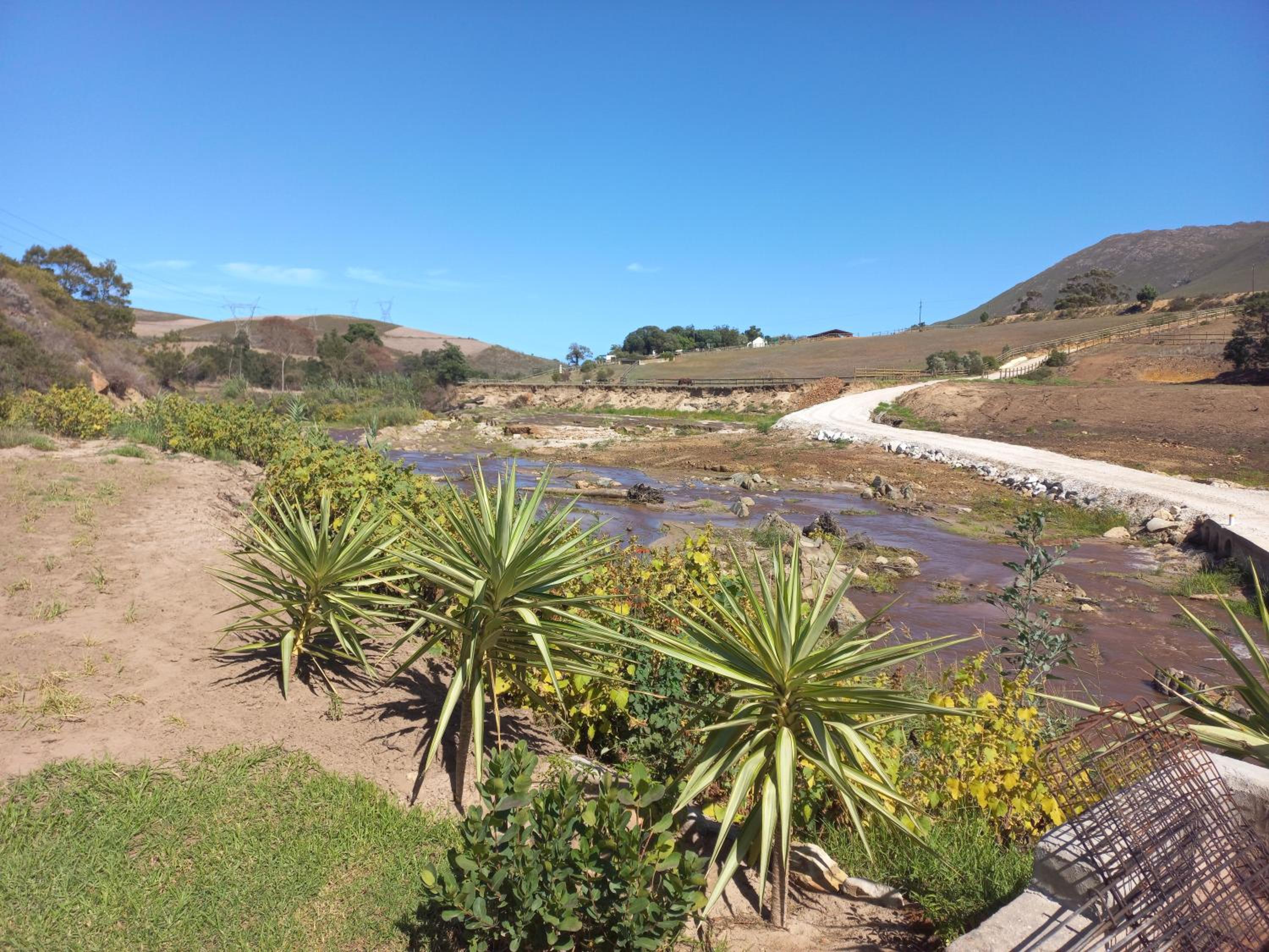 Swaynekloof Farm