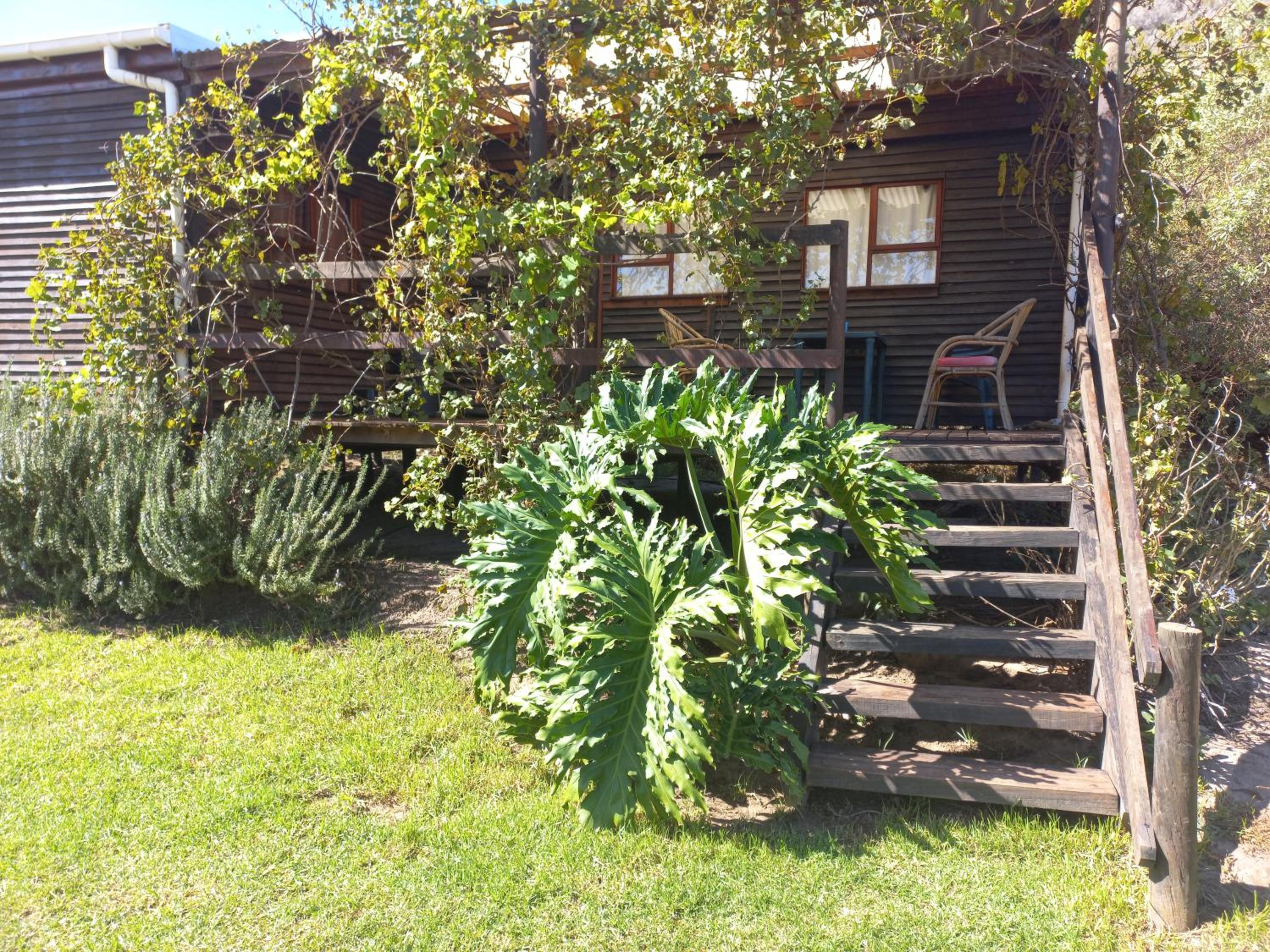 Swaynekloof Farm