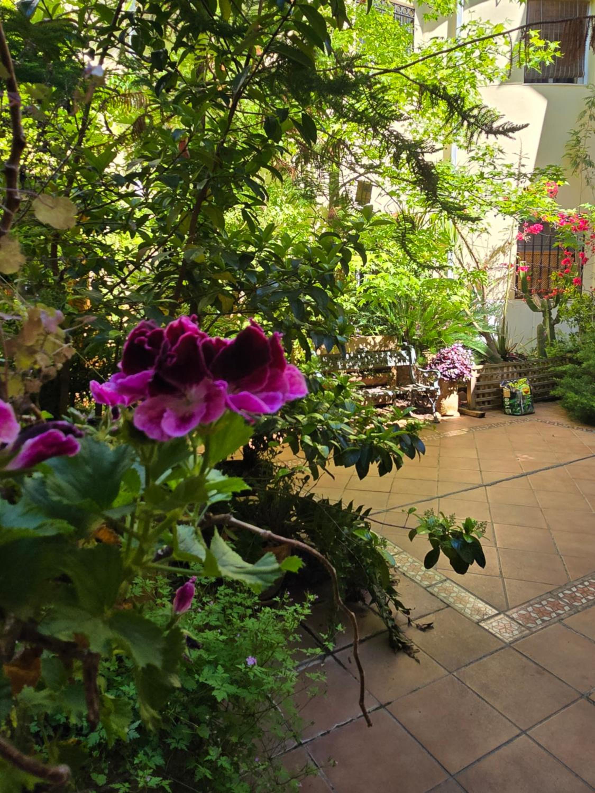 Apartamento Alma de Santa Marina