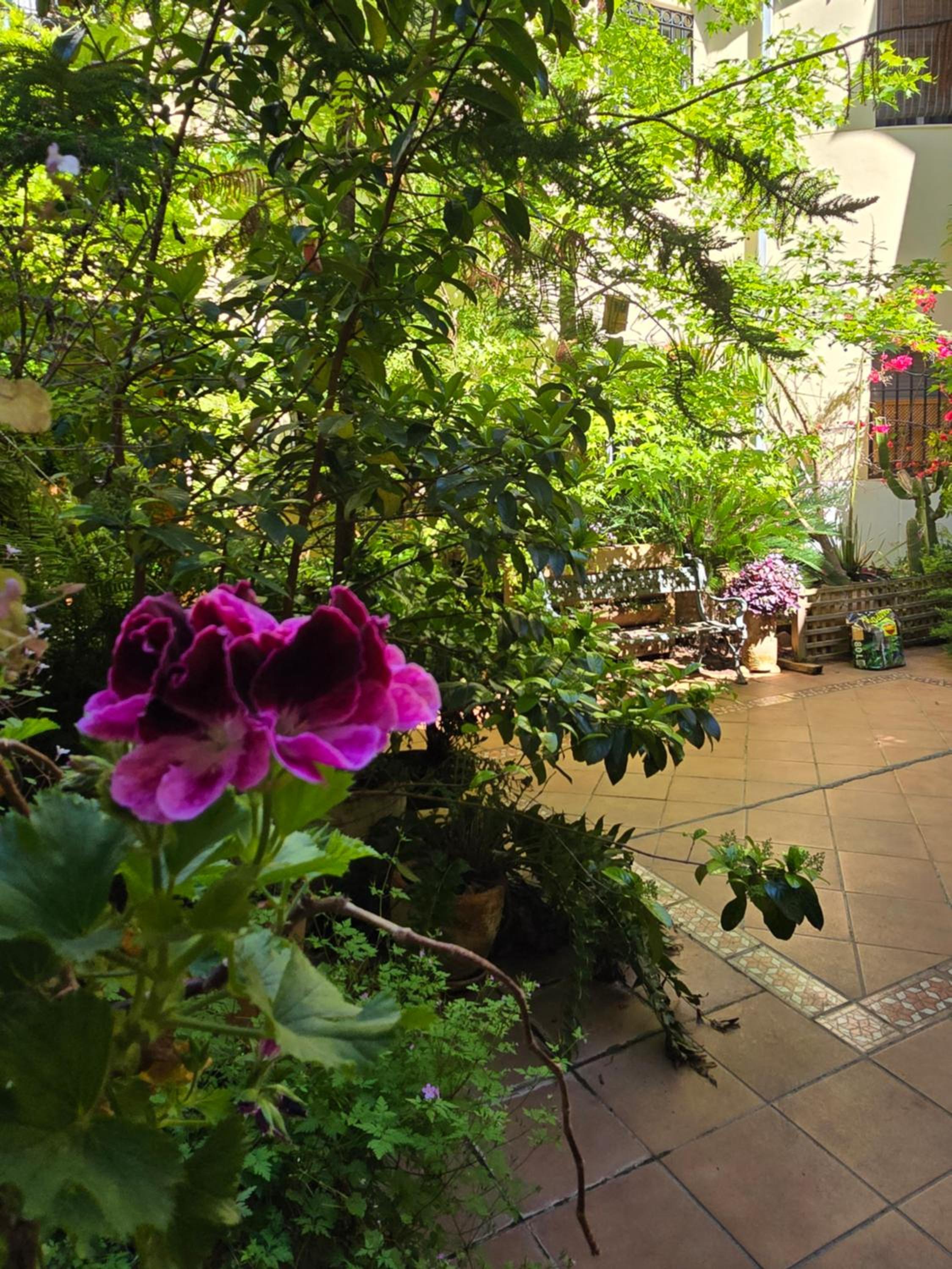Apartamento Alma de Santa Marina