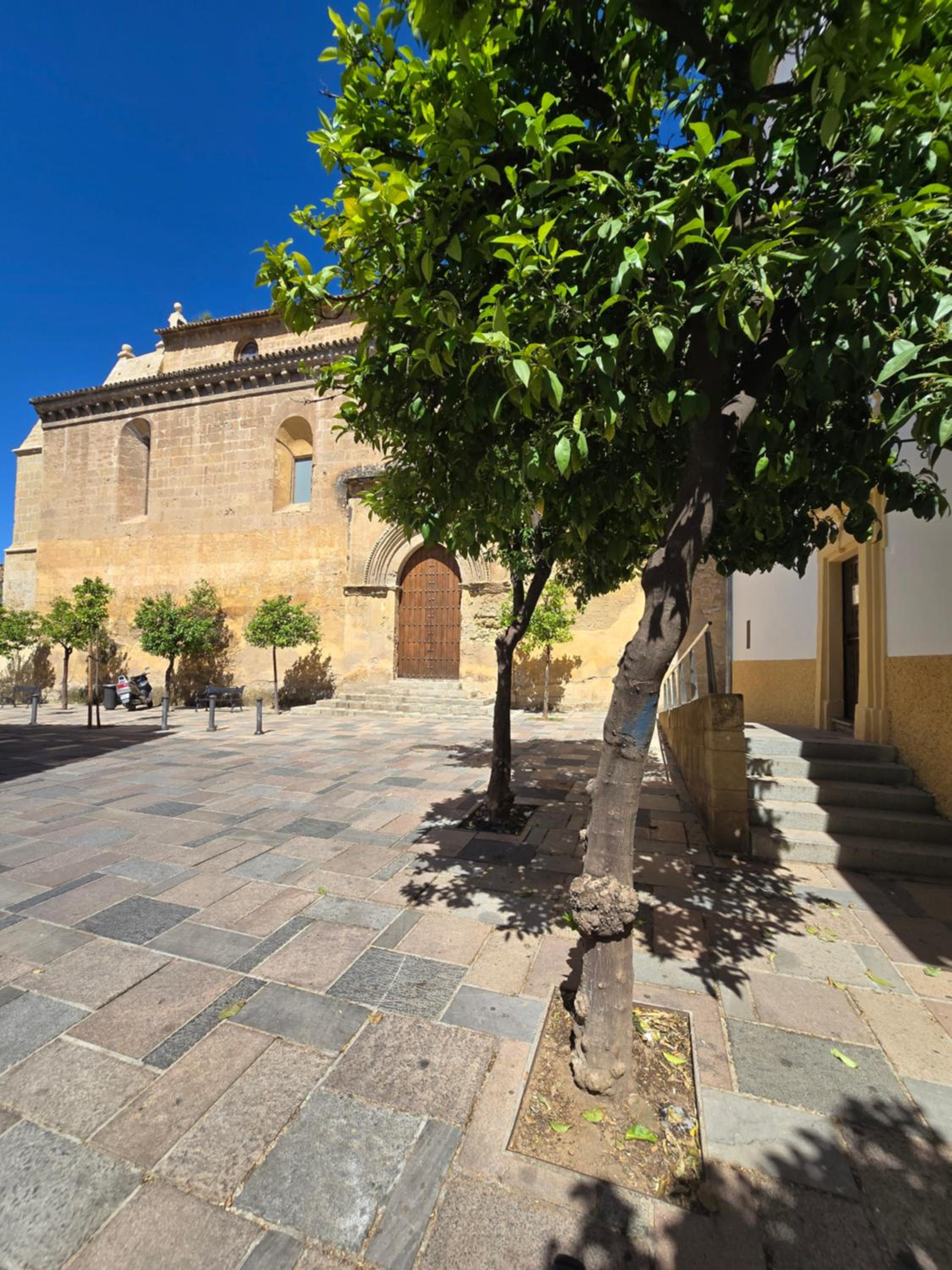 Apartamento Alma de Santa Marina