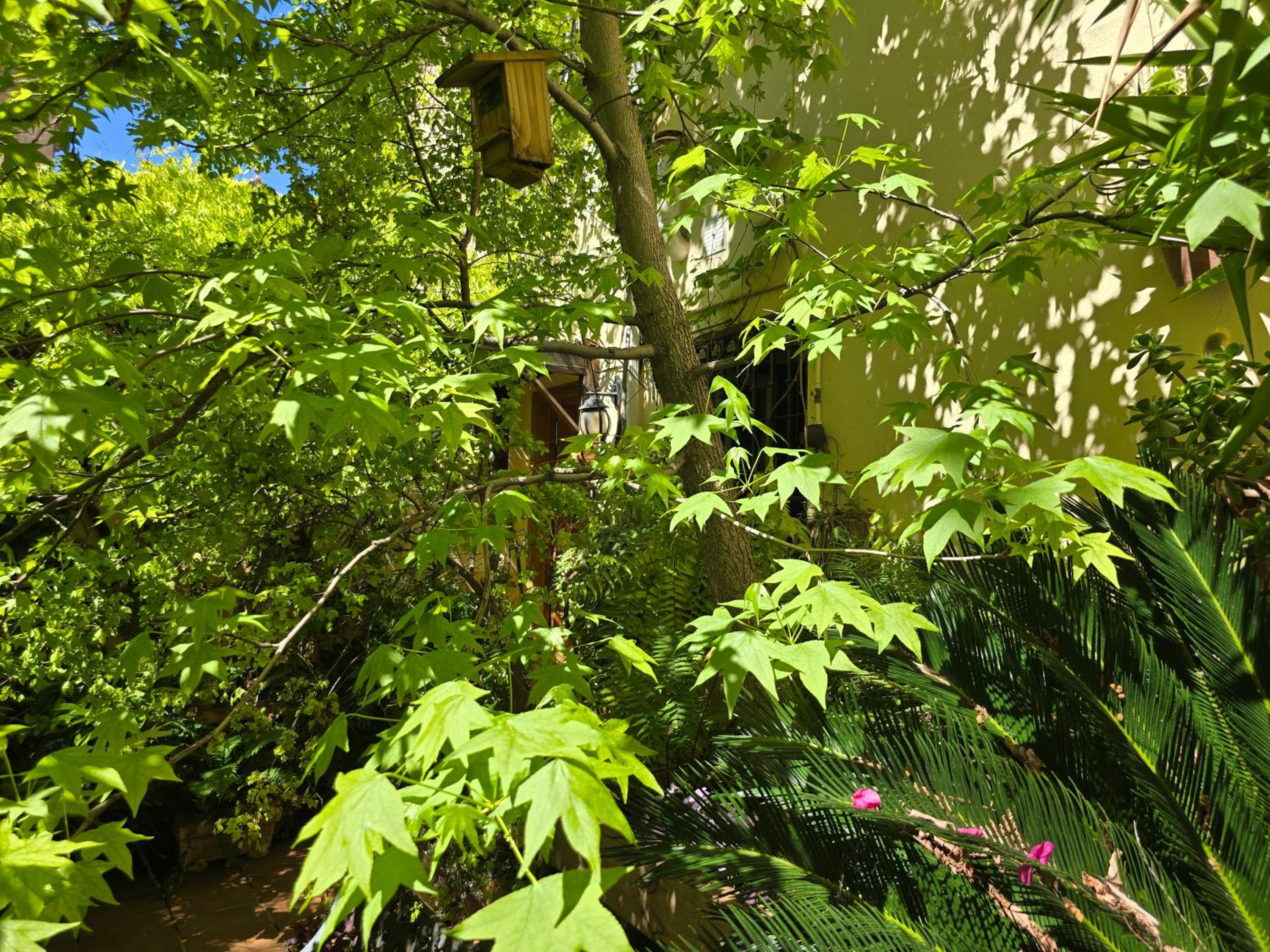 Apartamento Alma de Santa Marina