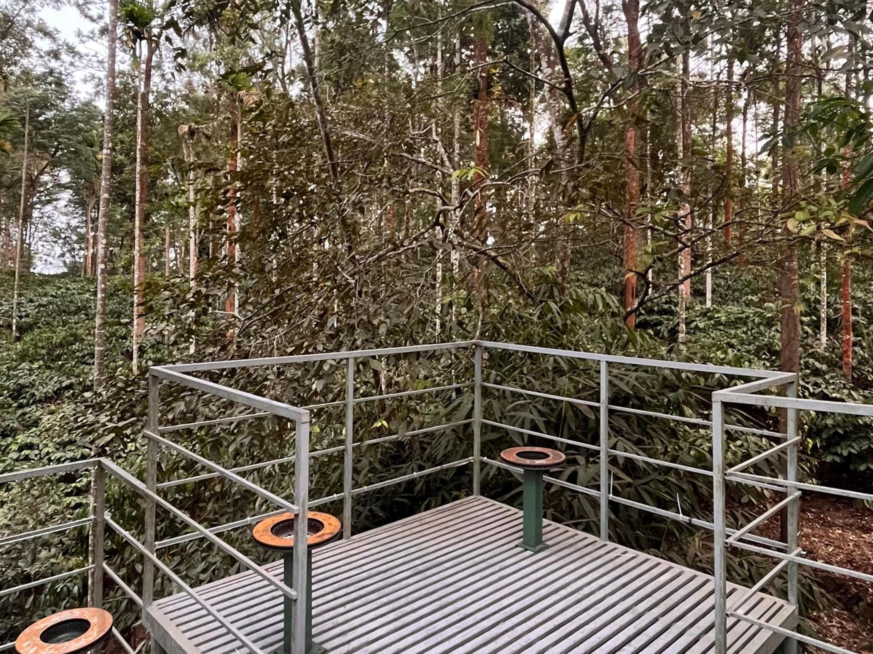 Nellimalam Retreat