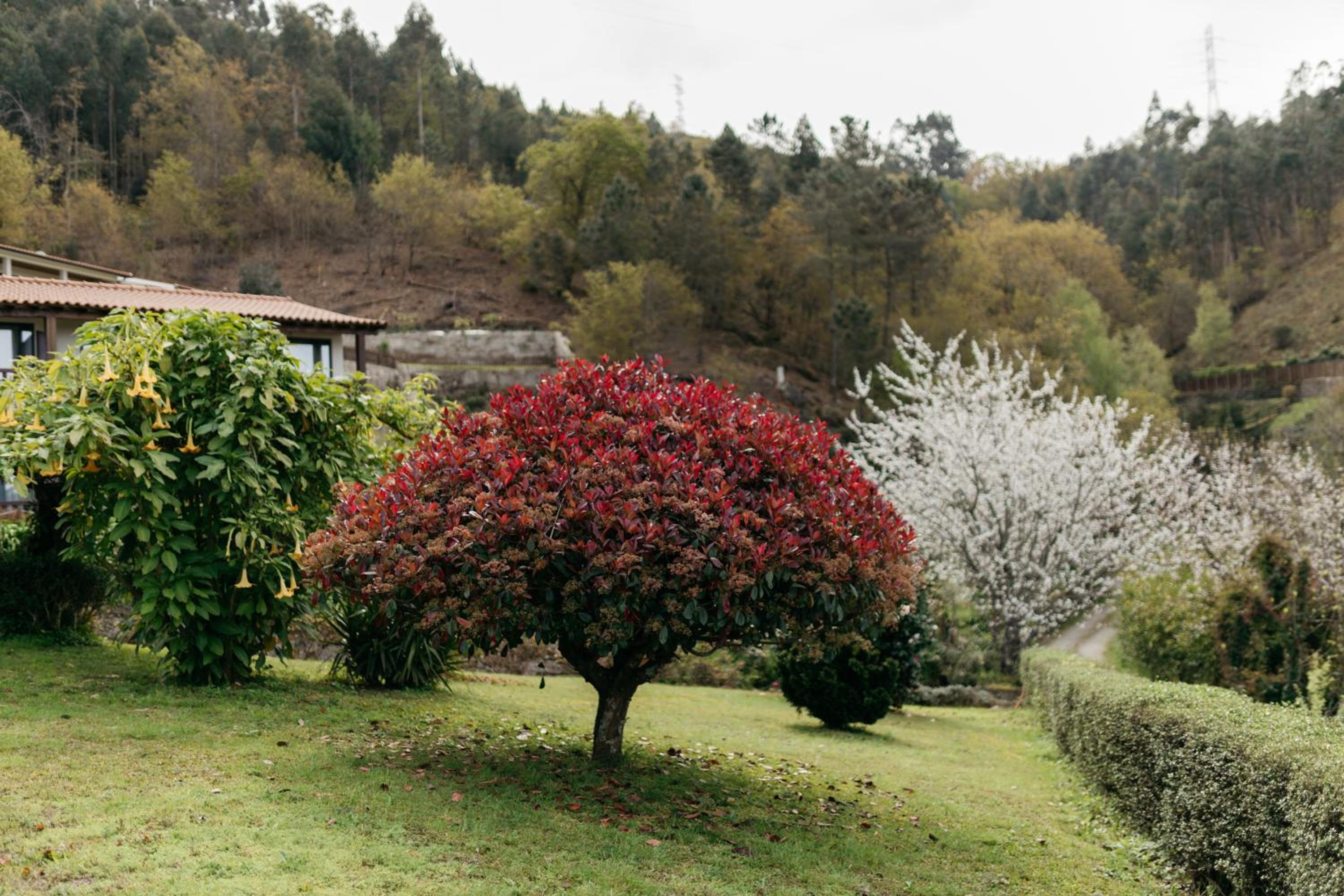 Quinta do Bento