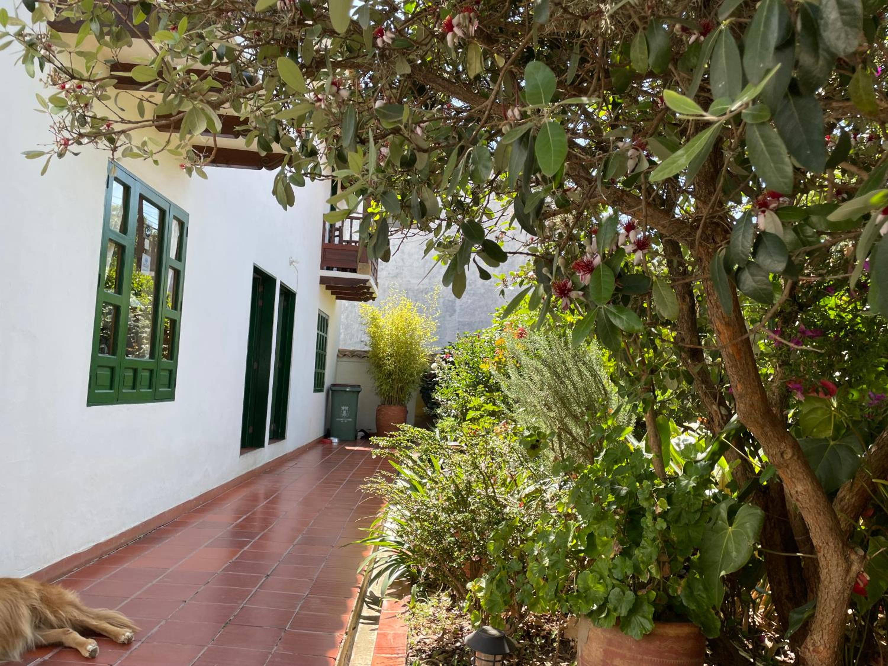 Hostal El Pino