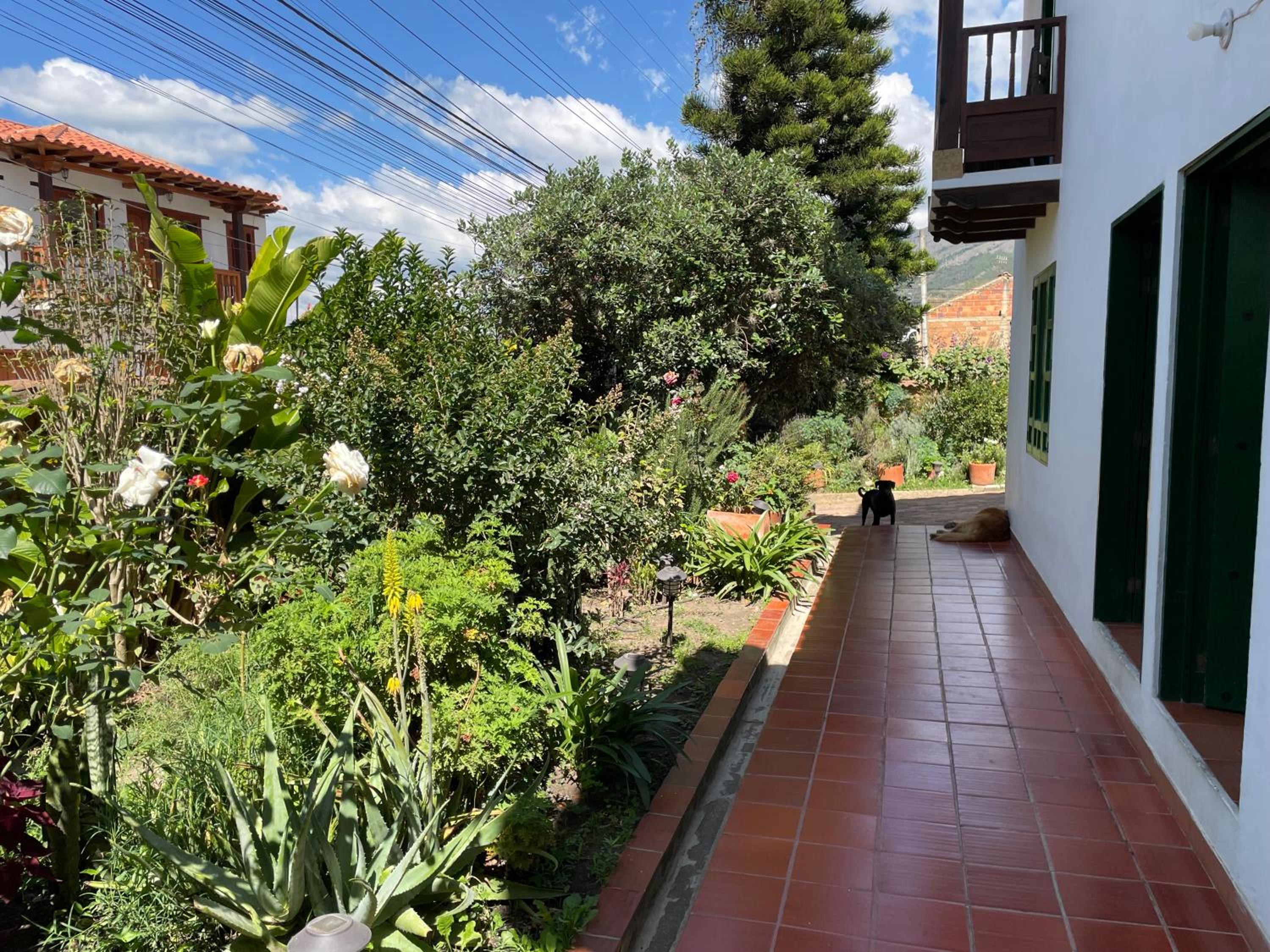 Hostal El Pino