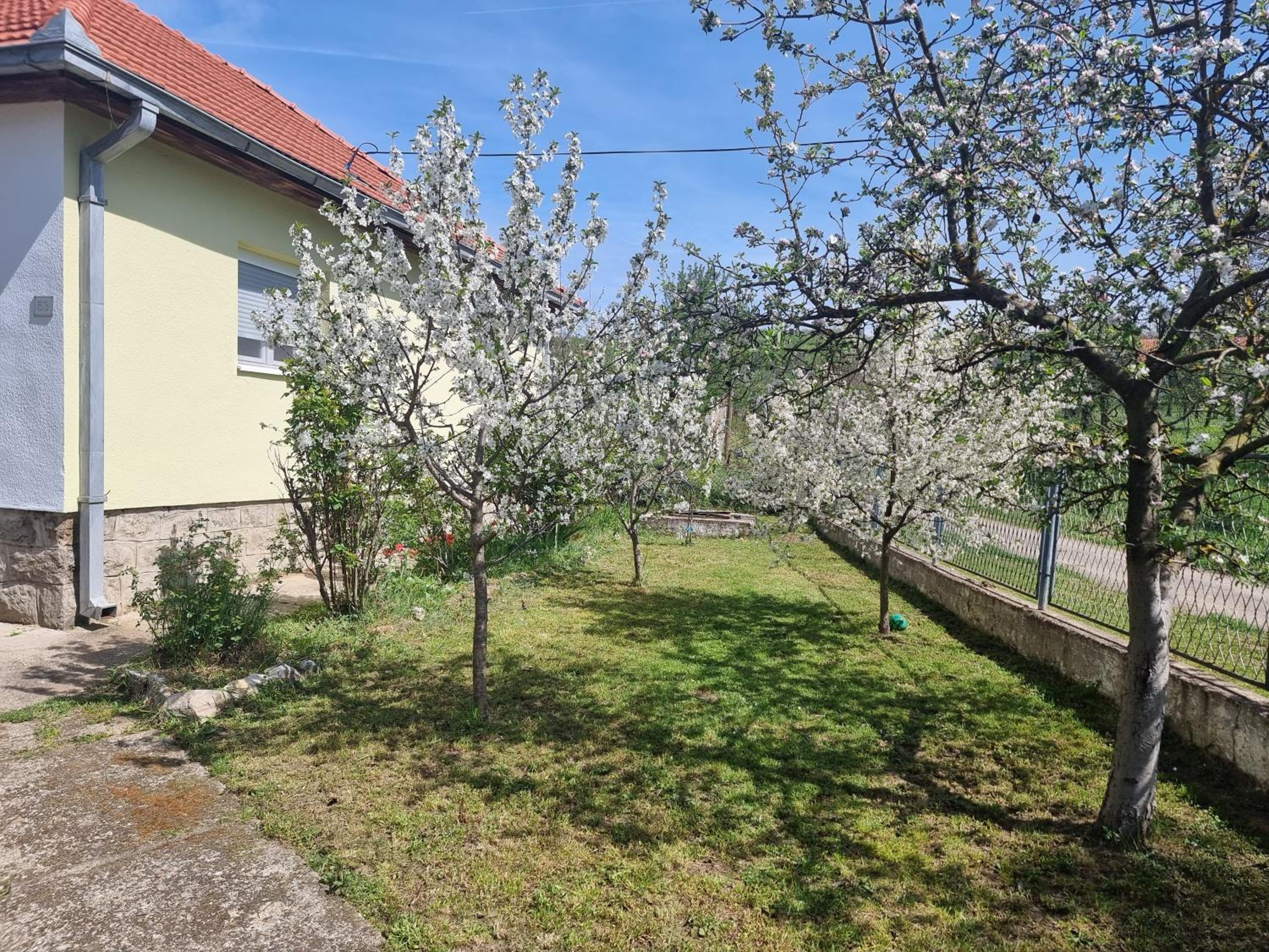 Miris prirode view 4