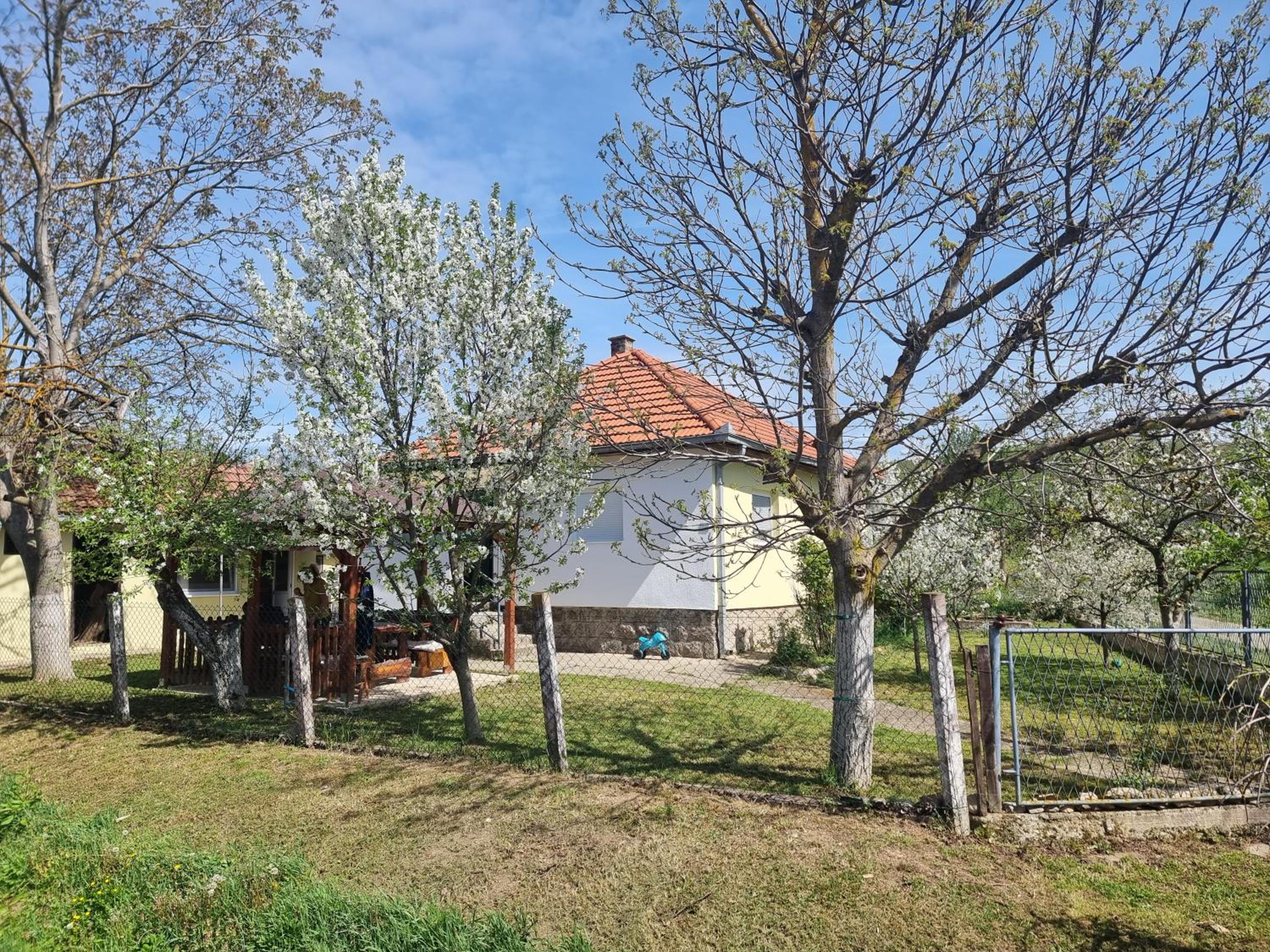 Miris prirode view 5