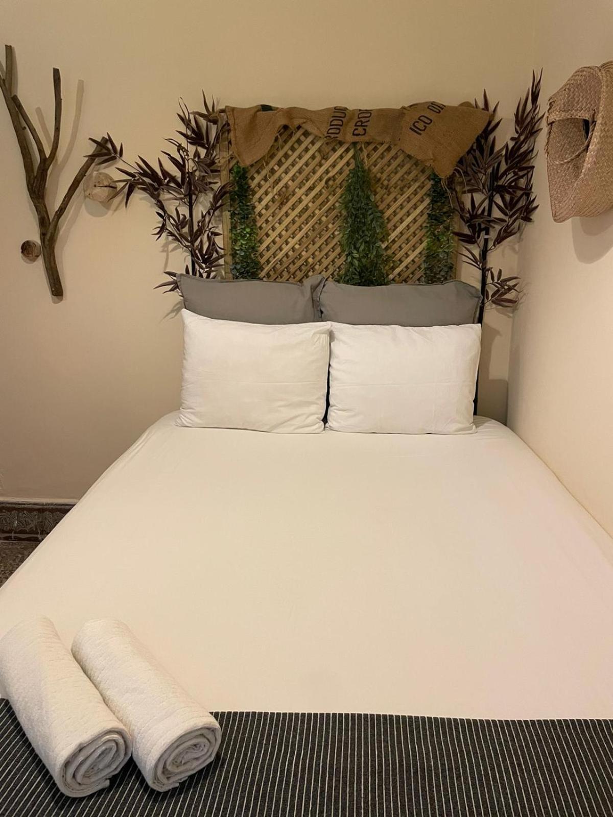 Cactus Host