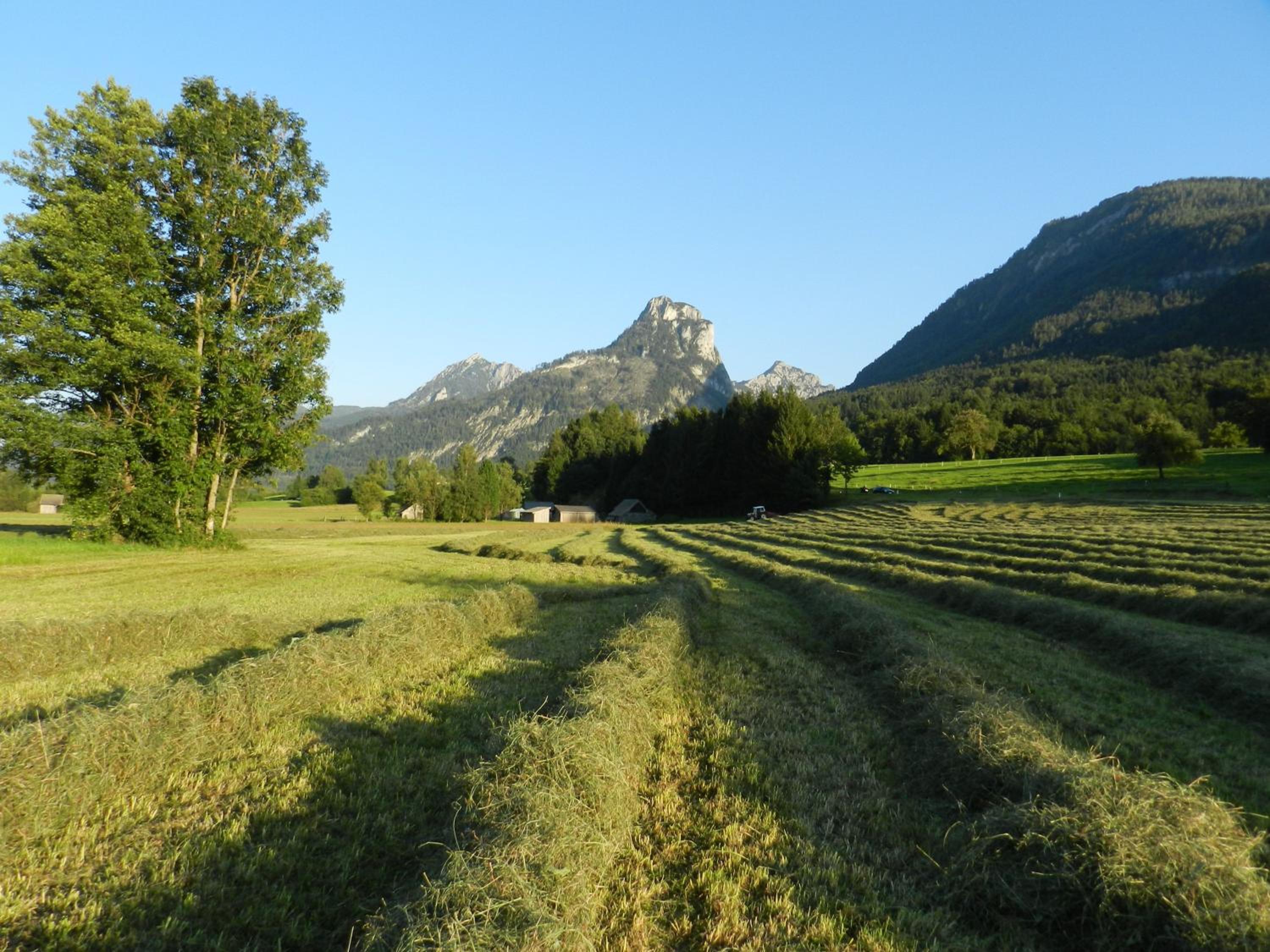 Gasthof Wiesenhof