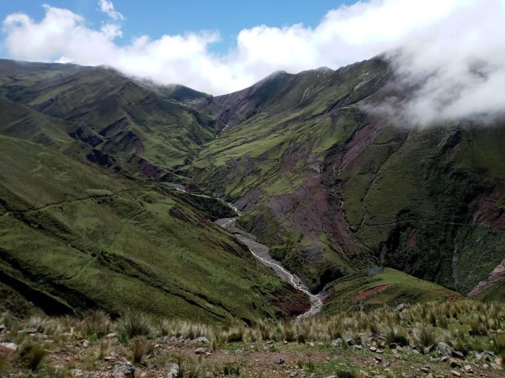El Pensamiento Jujuy