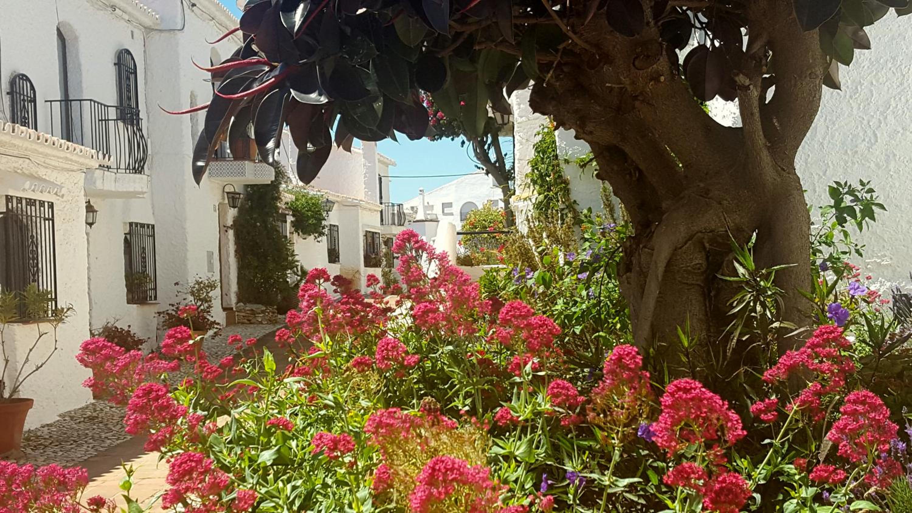 Villa Crisantemos