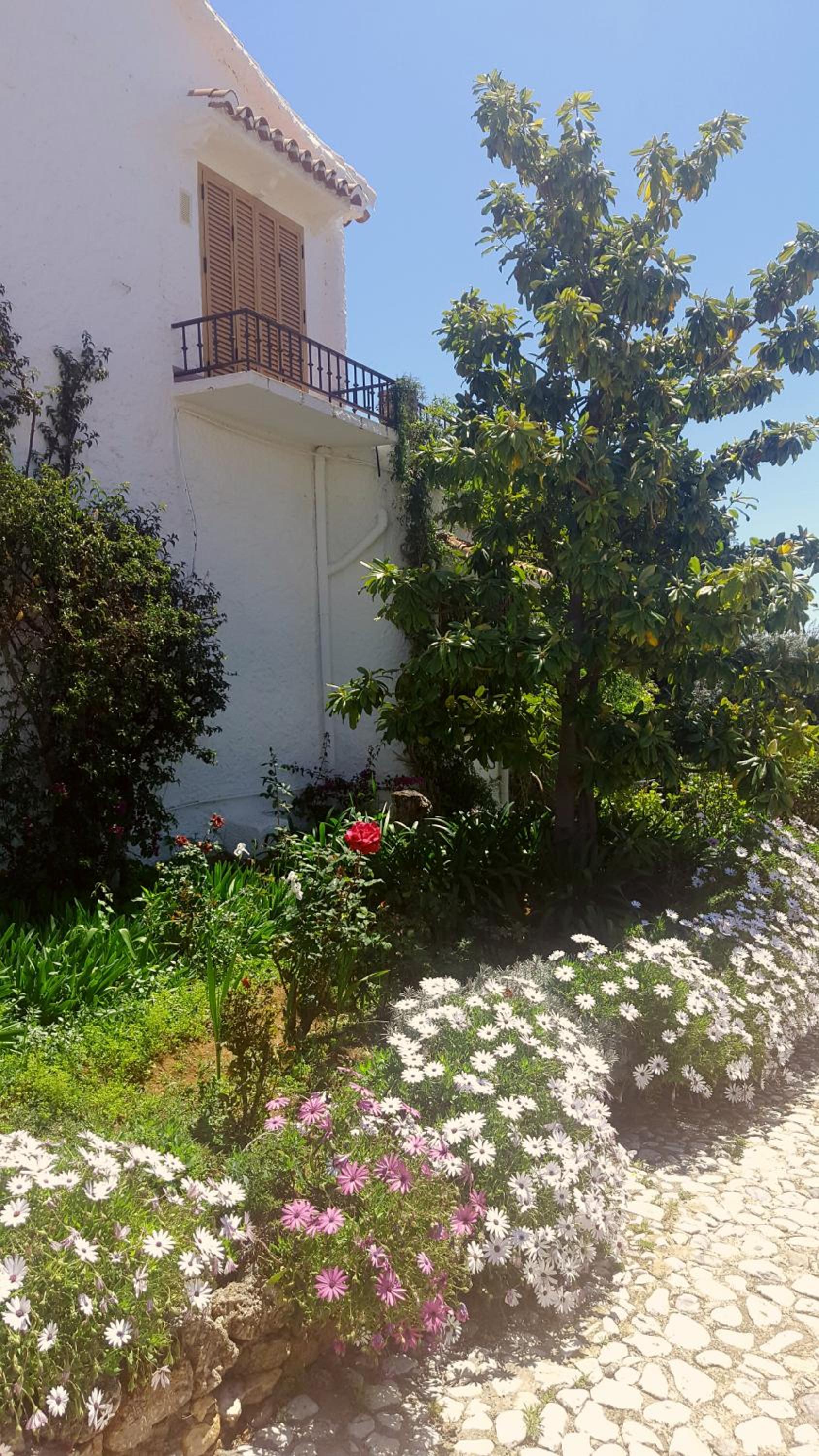 Villa Crisantemos