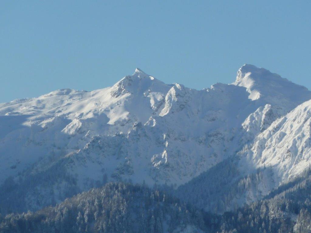 Ferienhaus Mayr - Ferienwohnung Bergblick