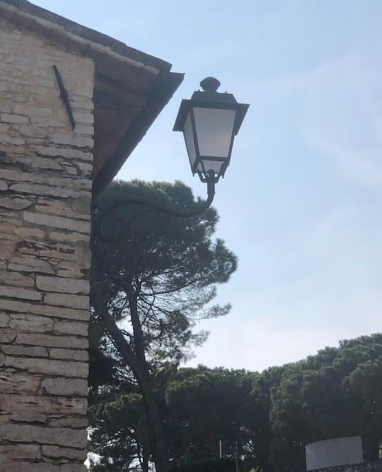 Tre Grazie - Dove la bellezza risveglia l'Anima view 3
