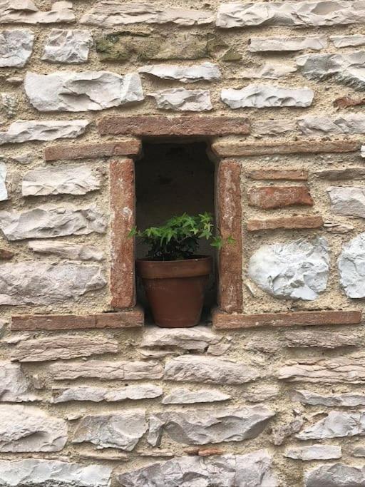 Tre Grazie - Dove la bellezza risveglia l'Anima view 5