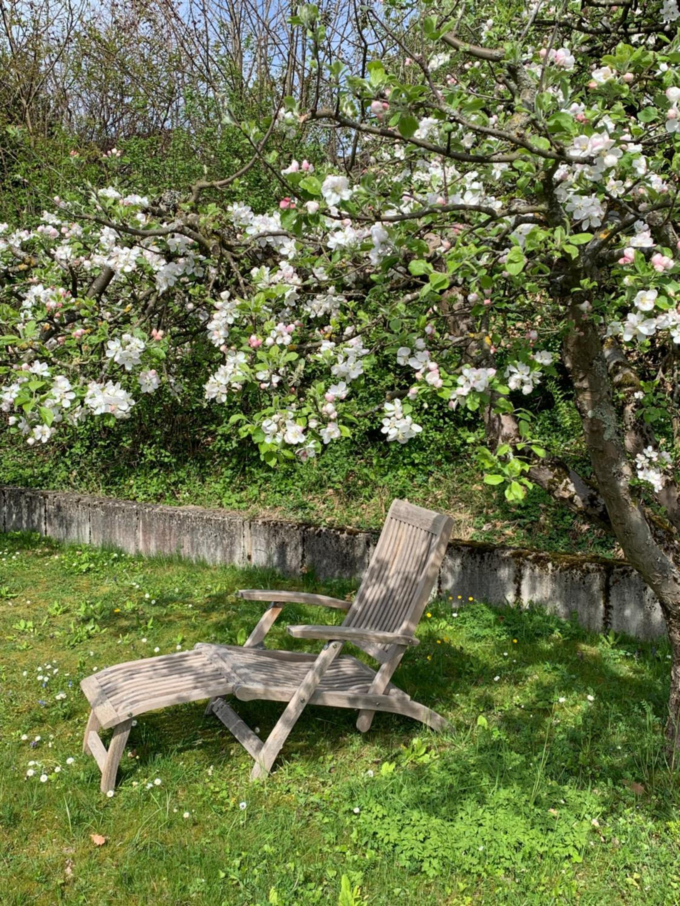 B&B Biel-Brügg