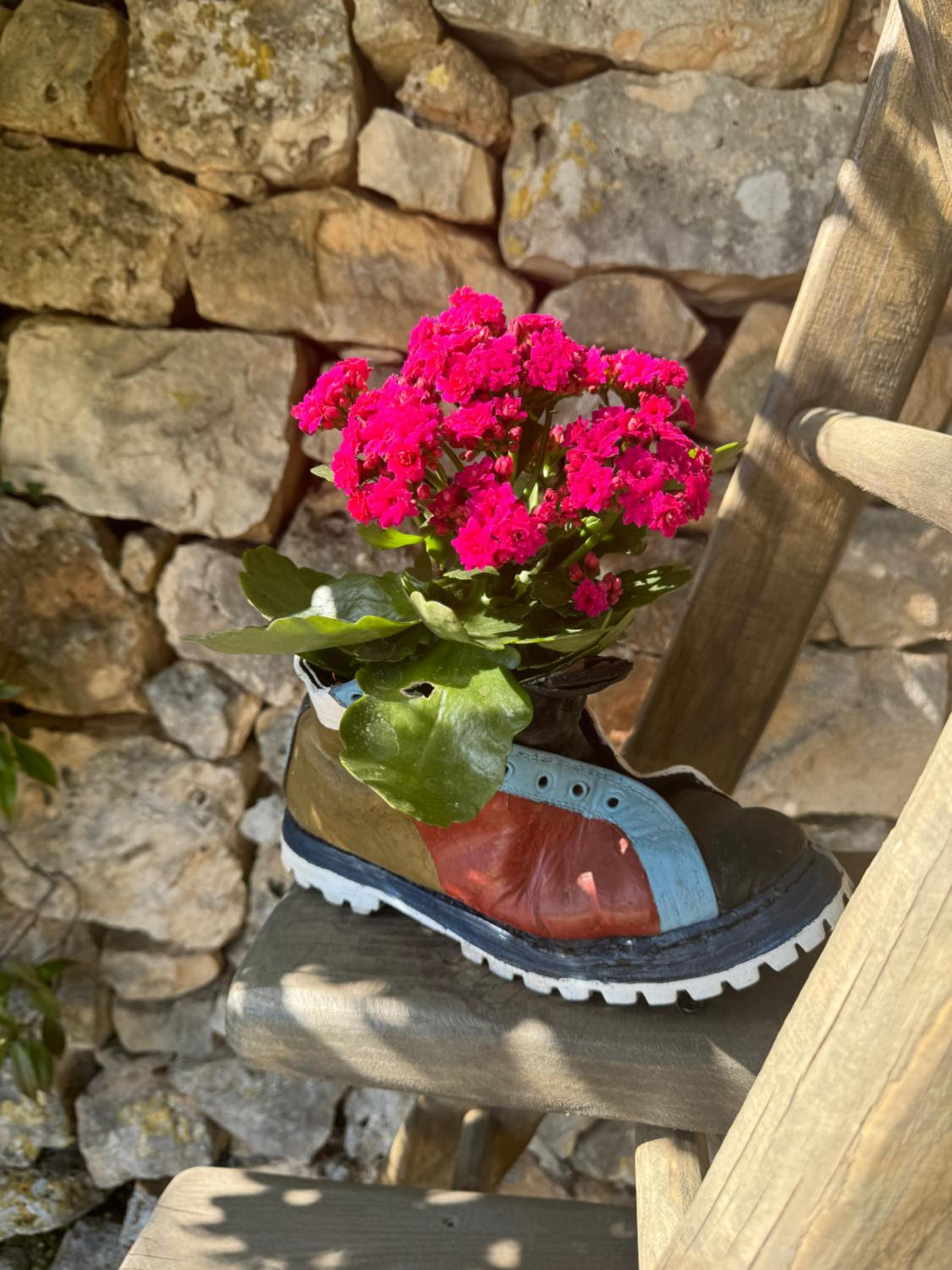 Trulli Bosco selva