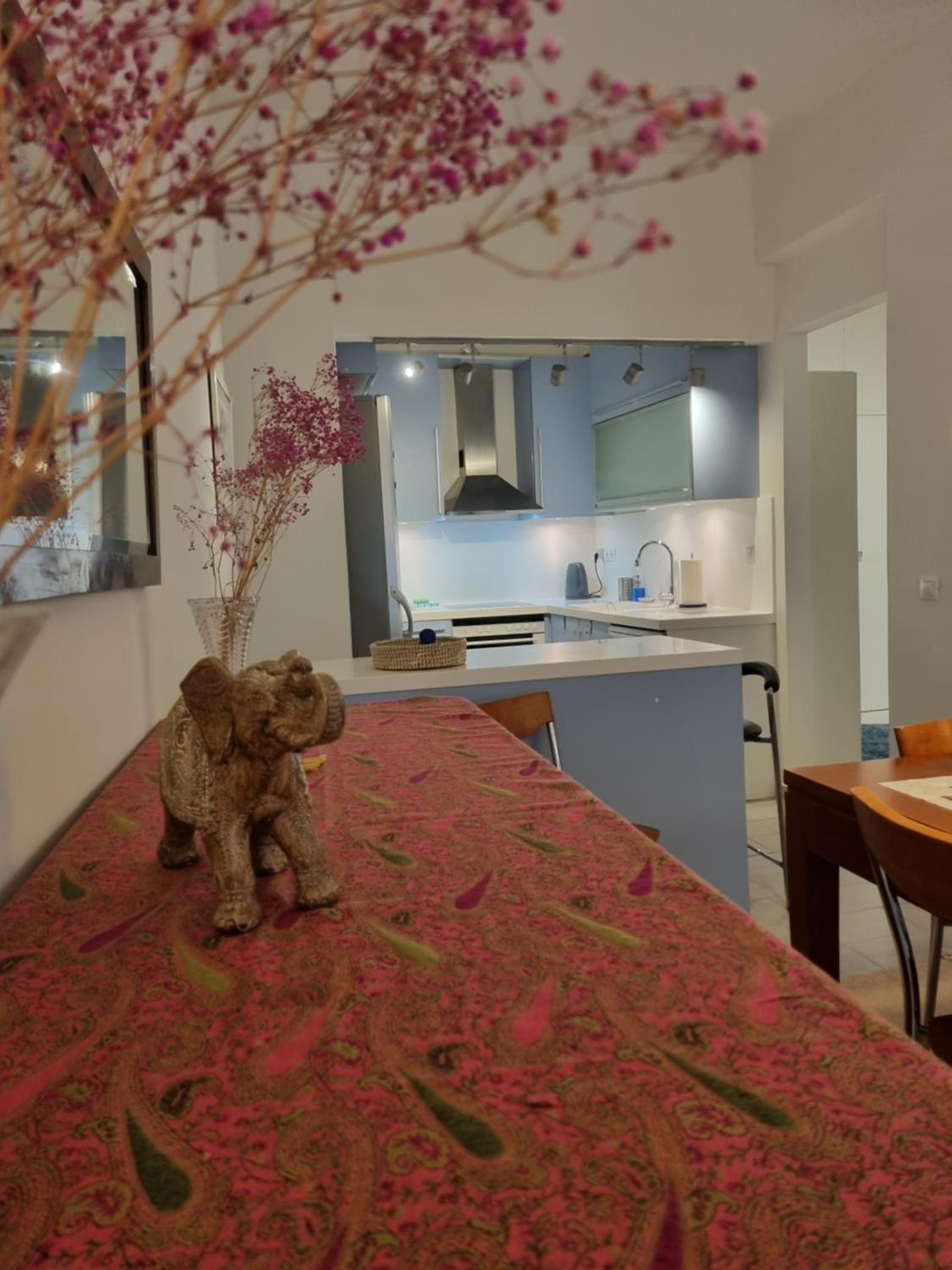 Park view apartment near Panormou