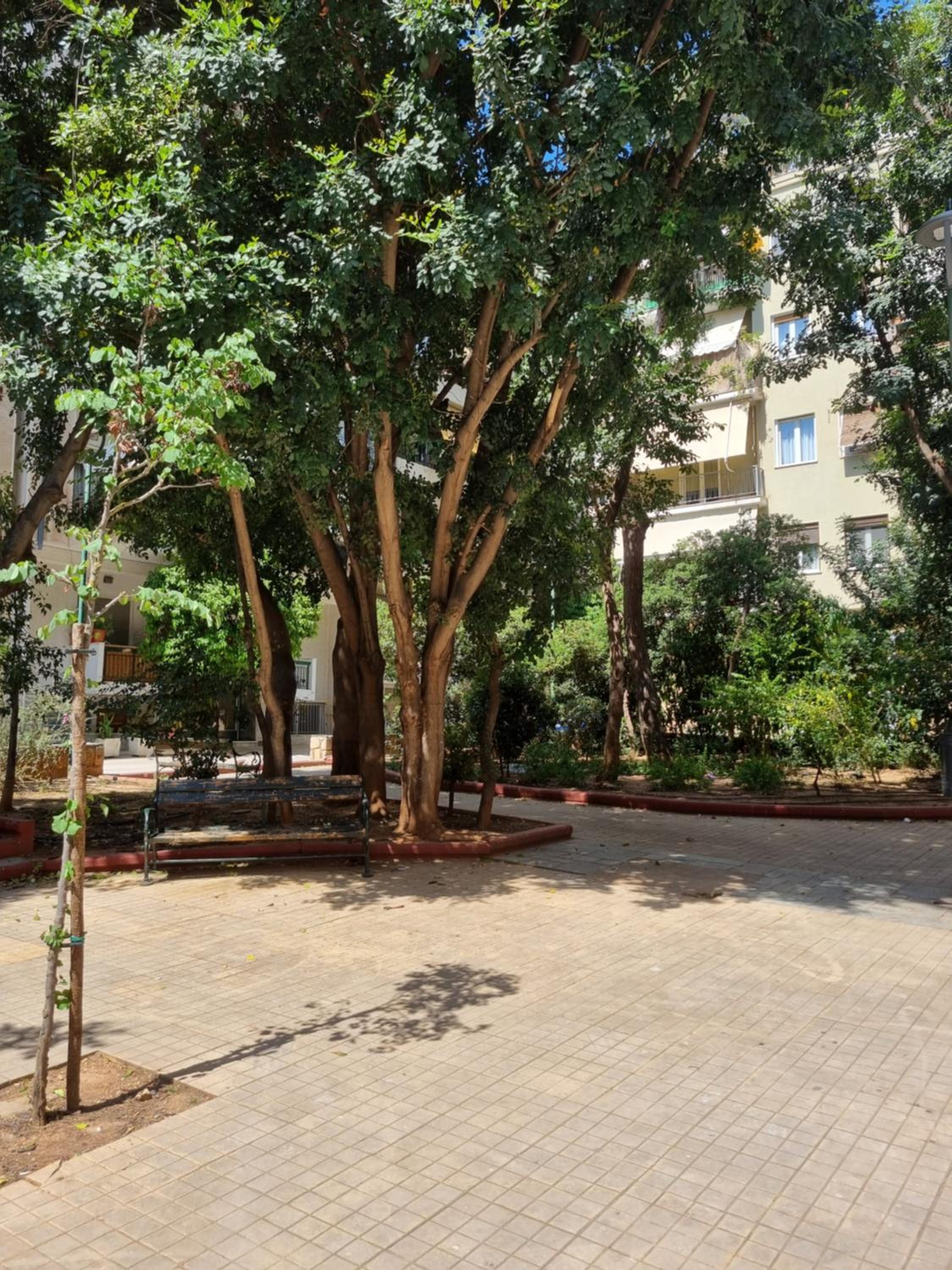 Park view apartment near Panormou