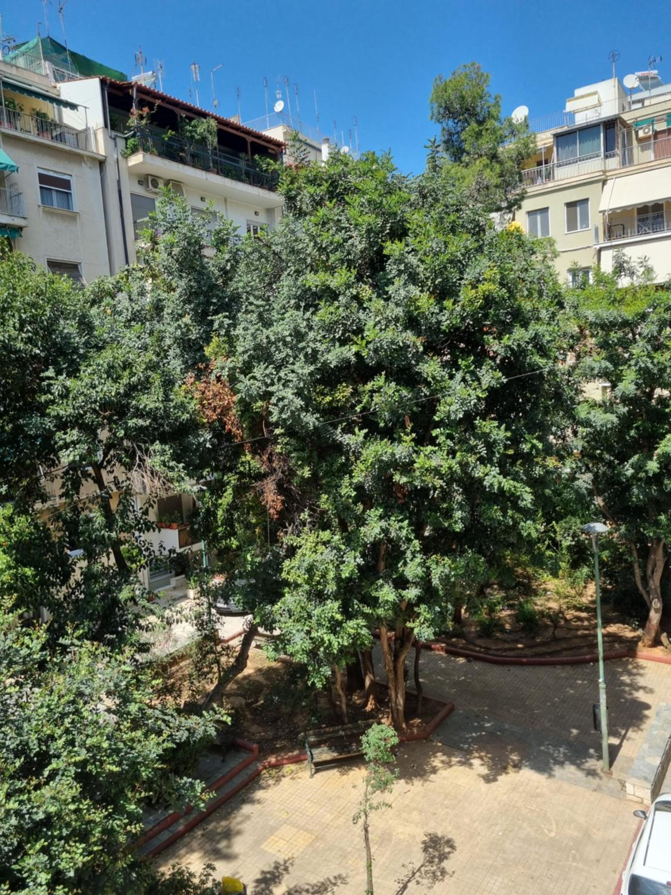Park view apartment near Panormou
