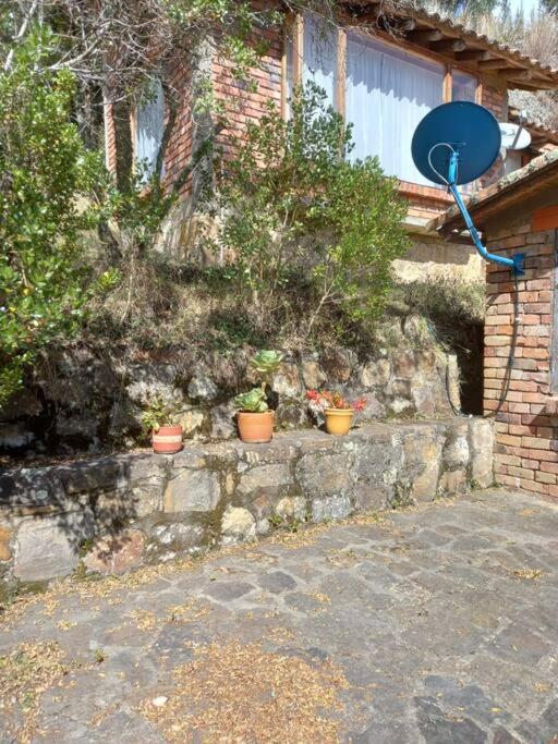 Cabaña los cerezos