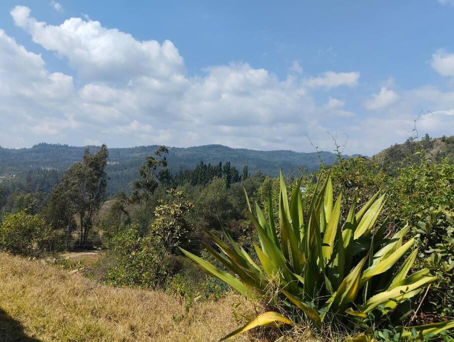 Cabaña los cerezos