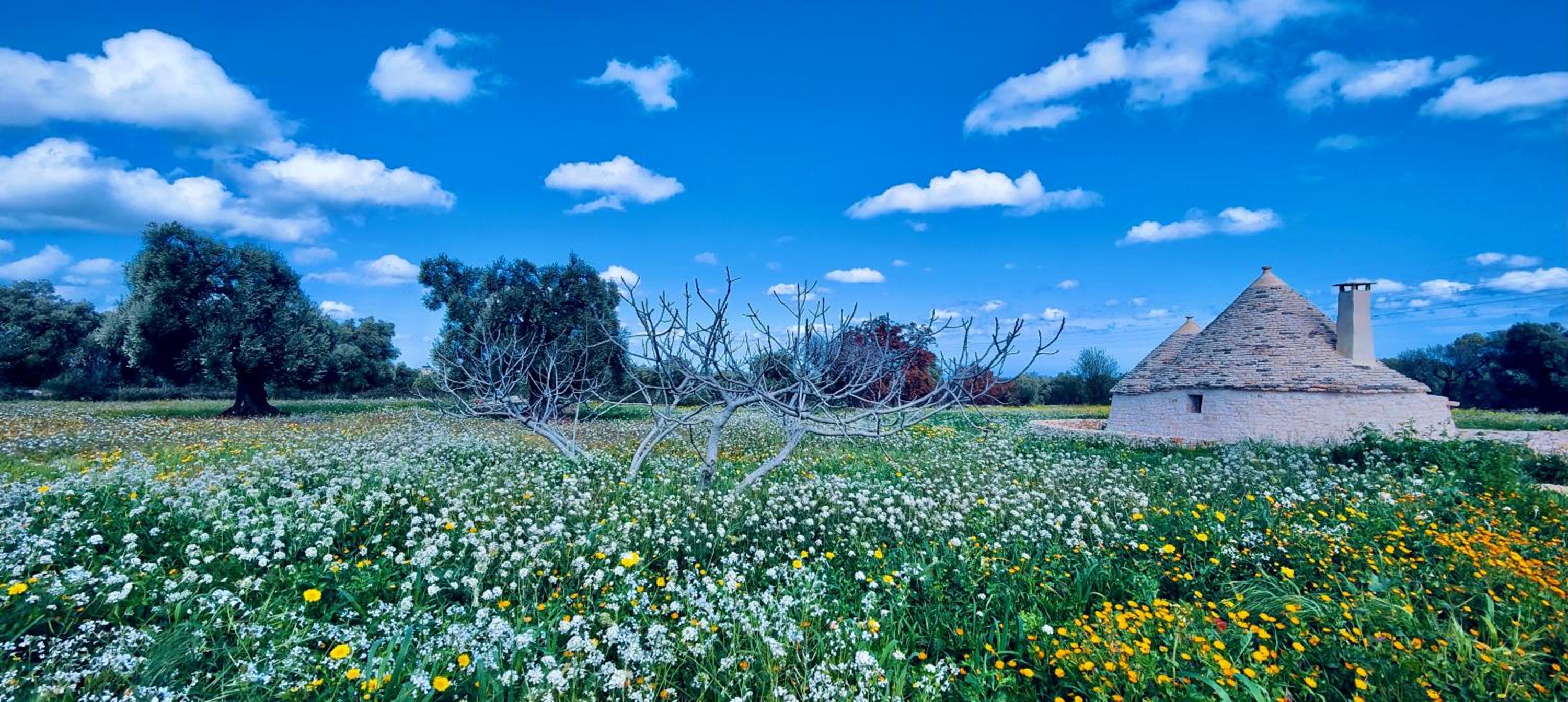 Masseria Celeste