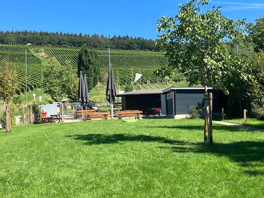 Romantikurlaub im Weindorf Kiedrich