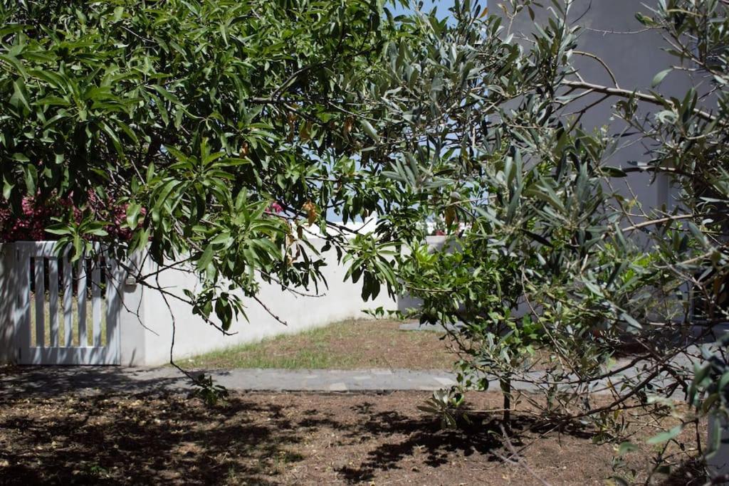 Moby Dick Super Panoramic photo 4