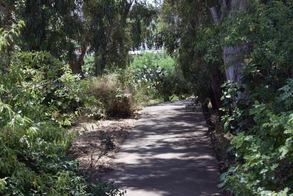 Photo 45