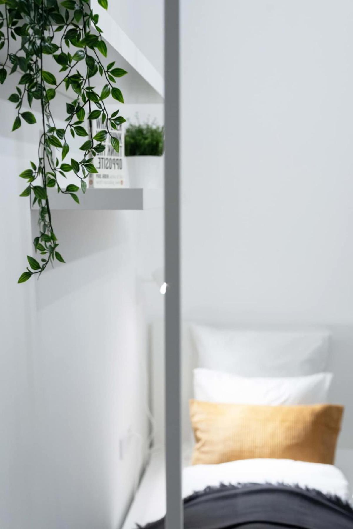 Ideal new apartment in the center