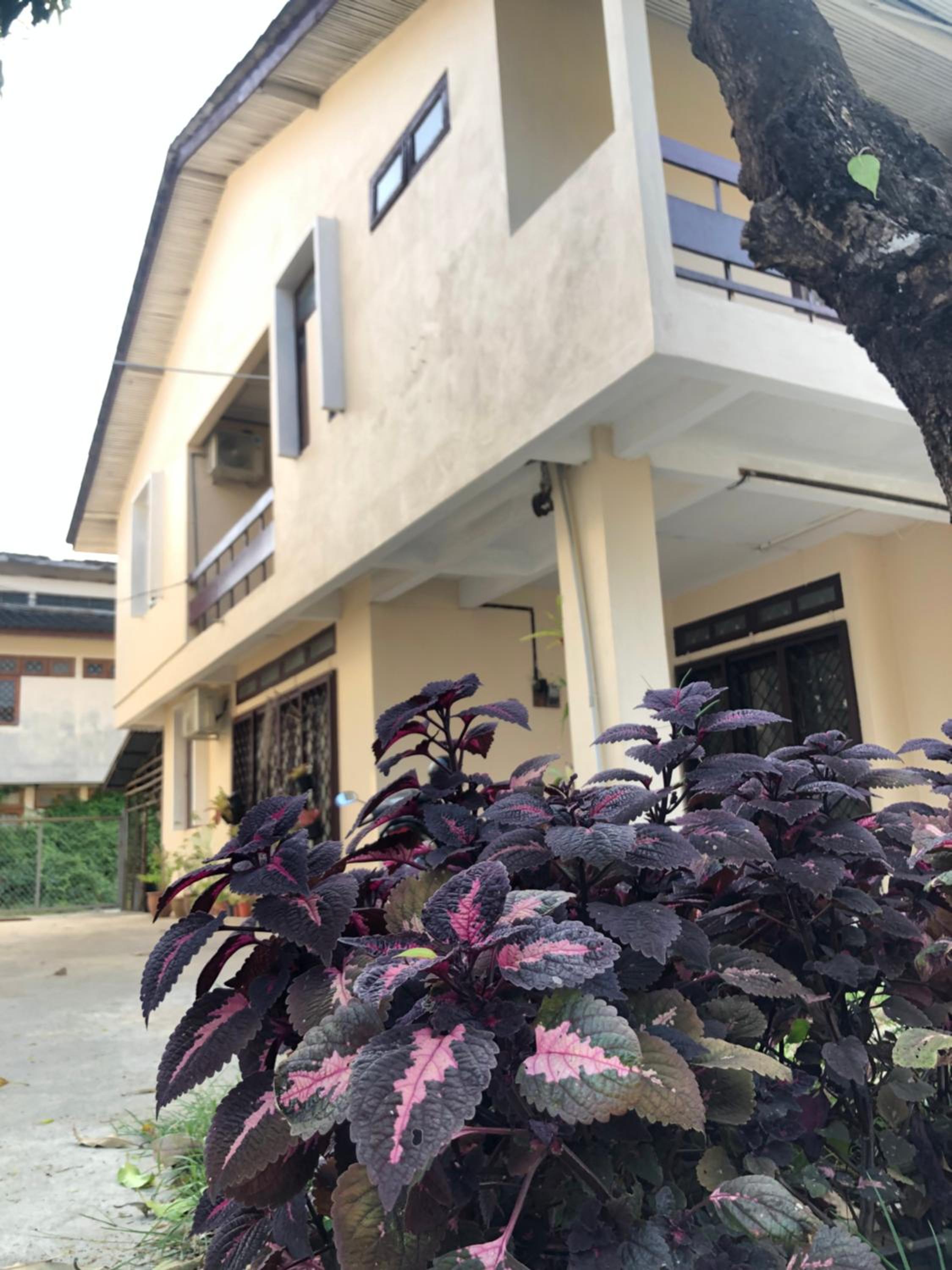 Little Cozy Homestay photo 1