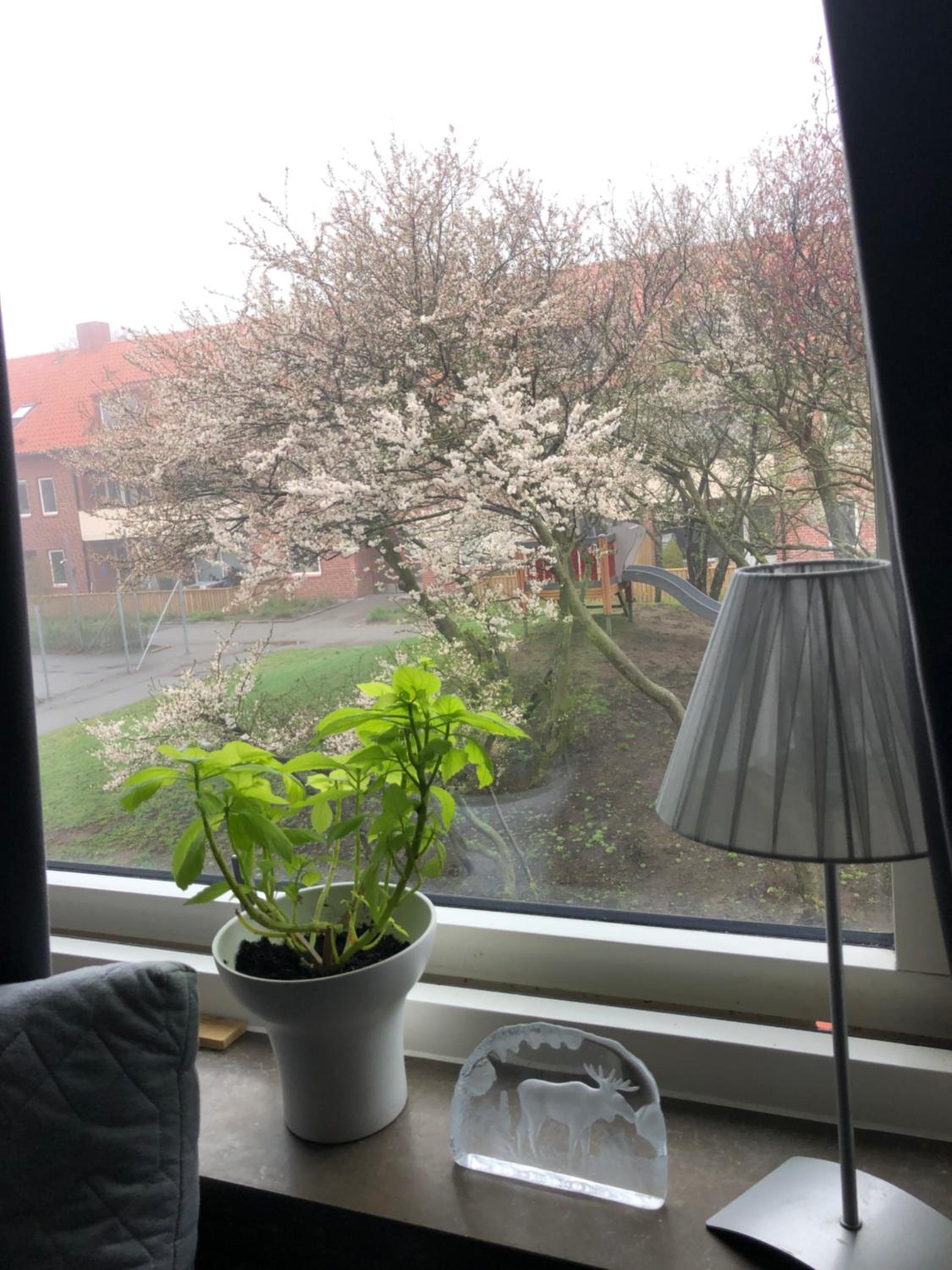 Nära till allt, i delad lägenhet view 5