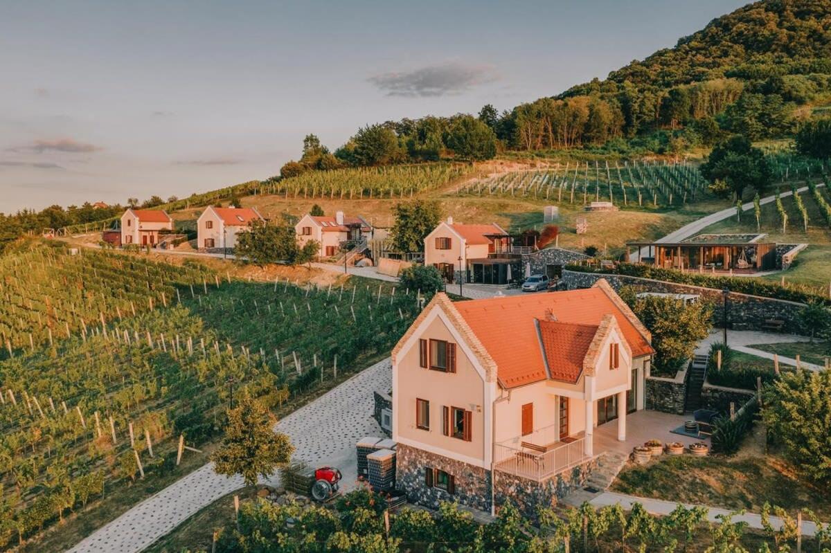 Perfect vacation at winery