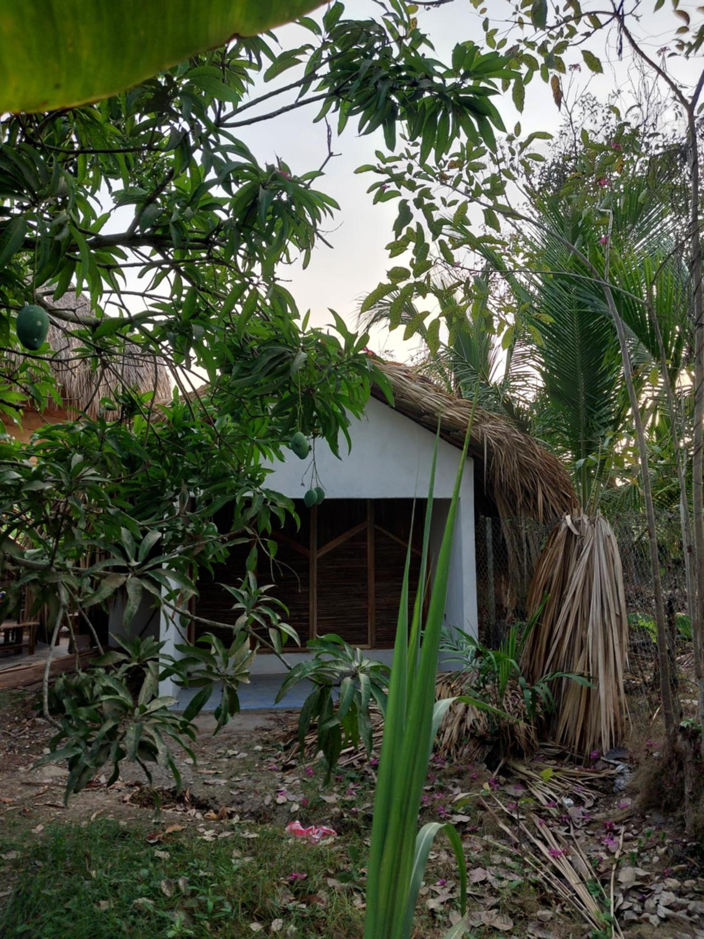 Hostel Nugeku