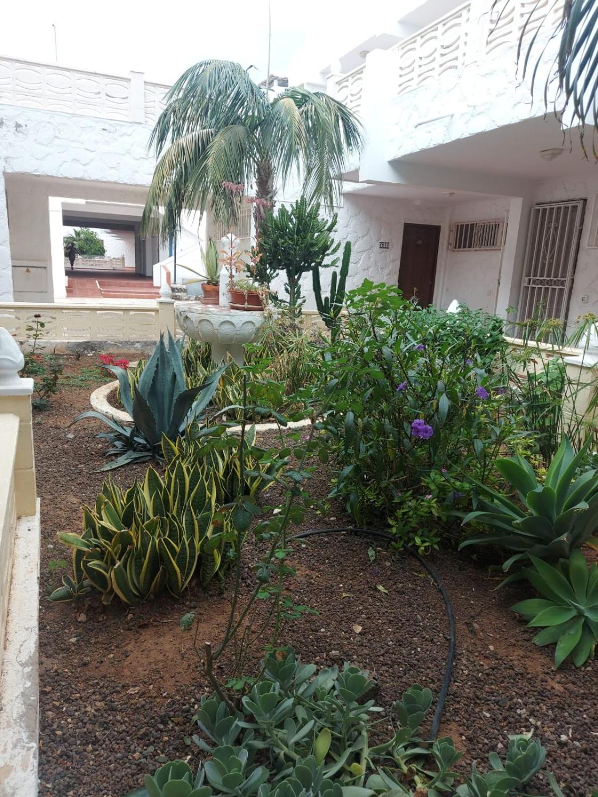 Casa Papagayo