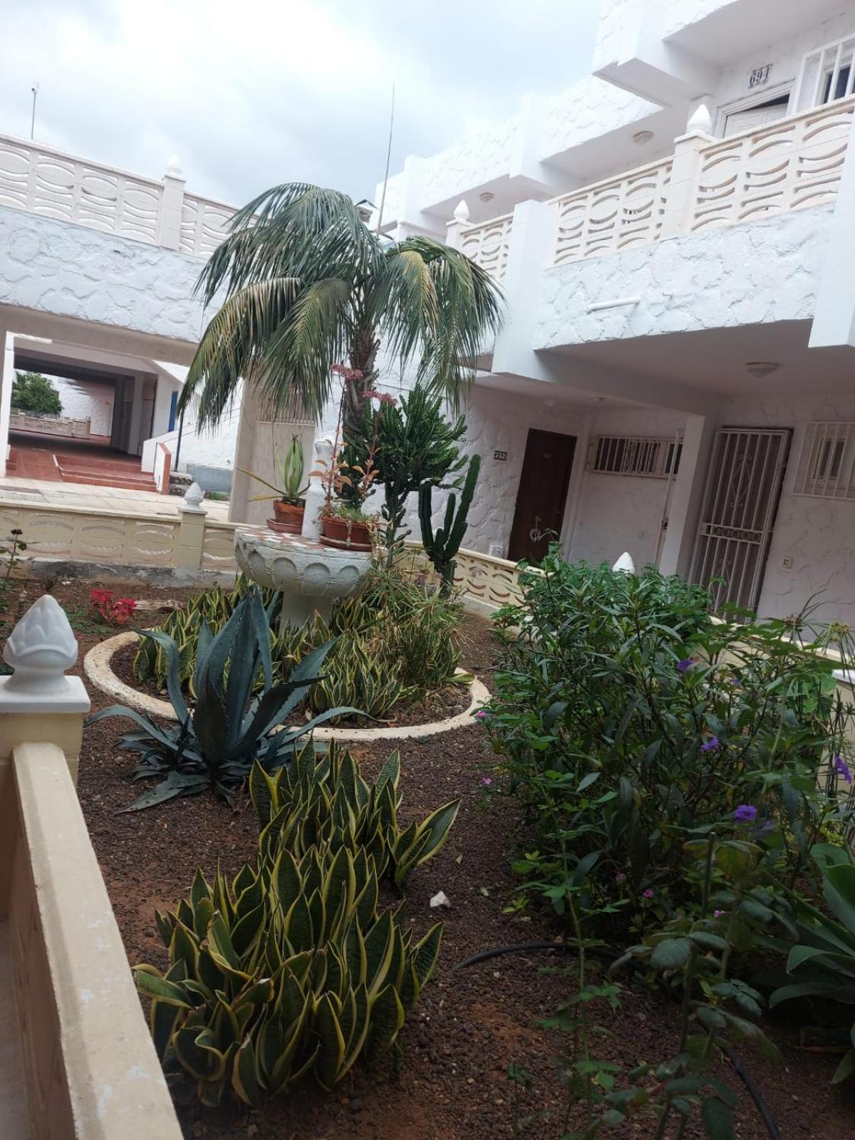 Casa Papagayo