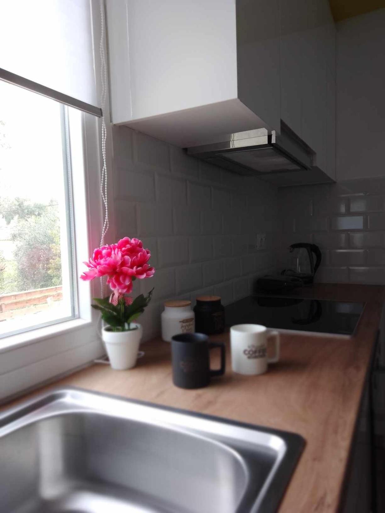 Afionas Cottage