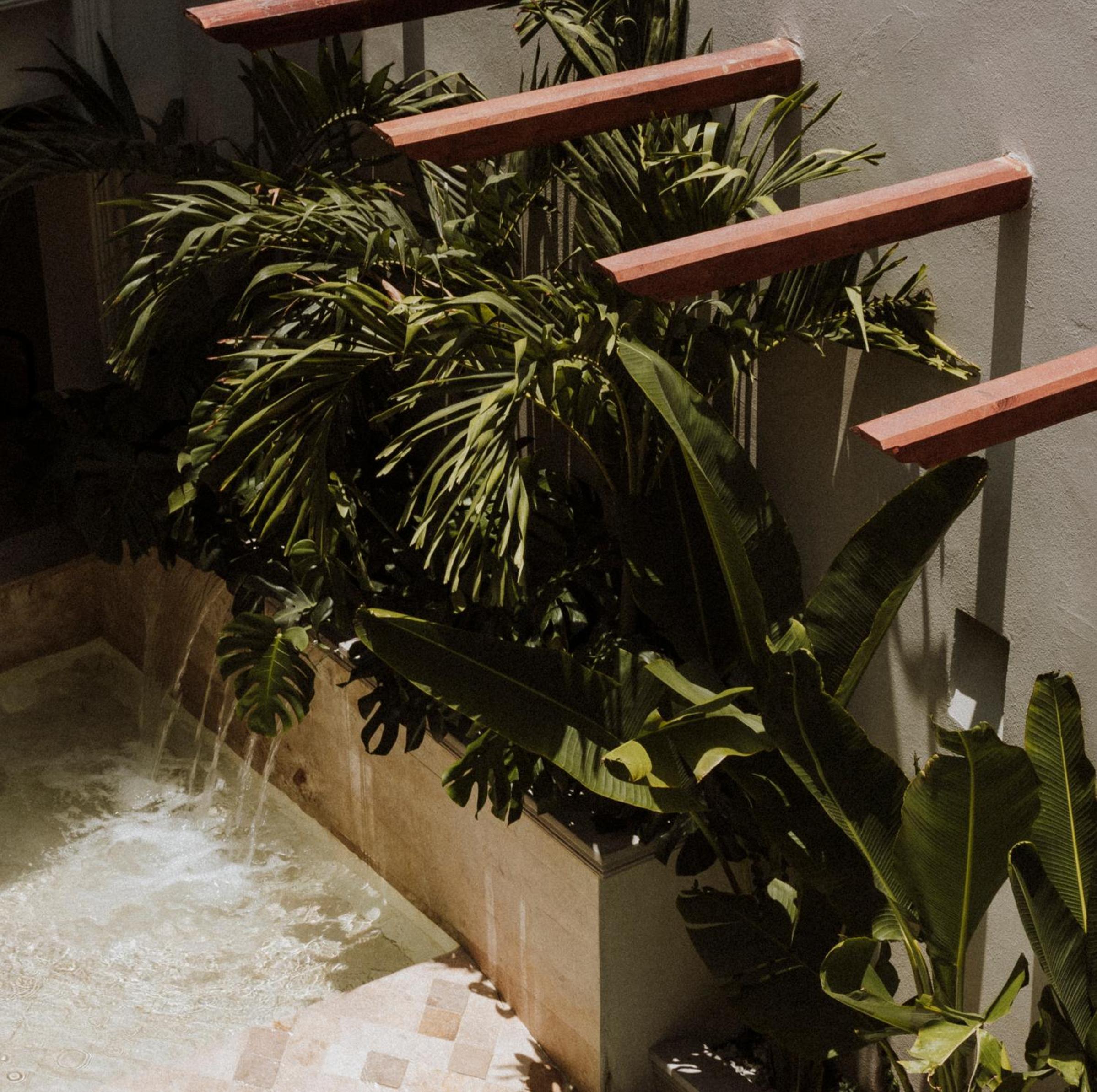 Casa Cascabel By Soho