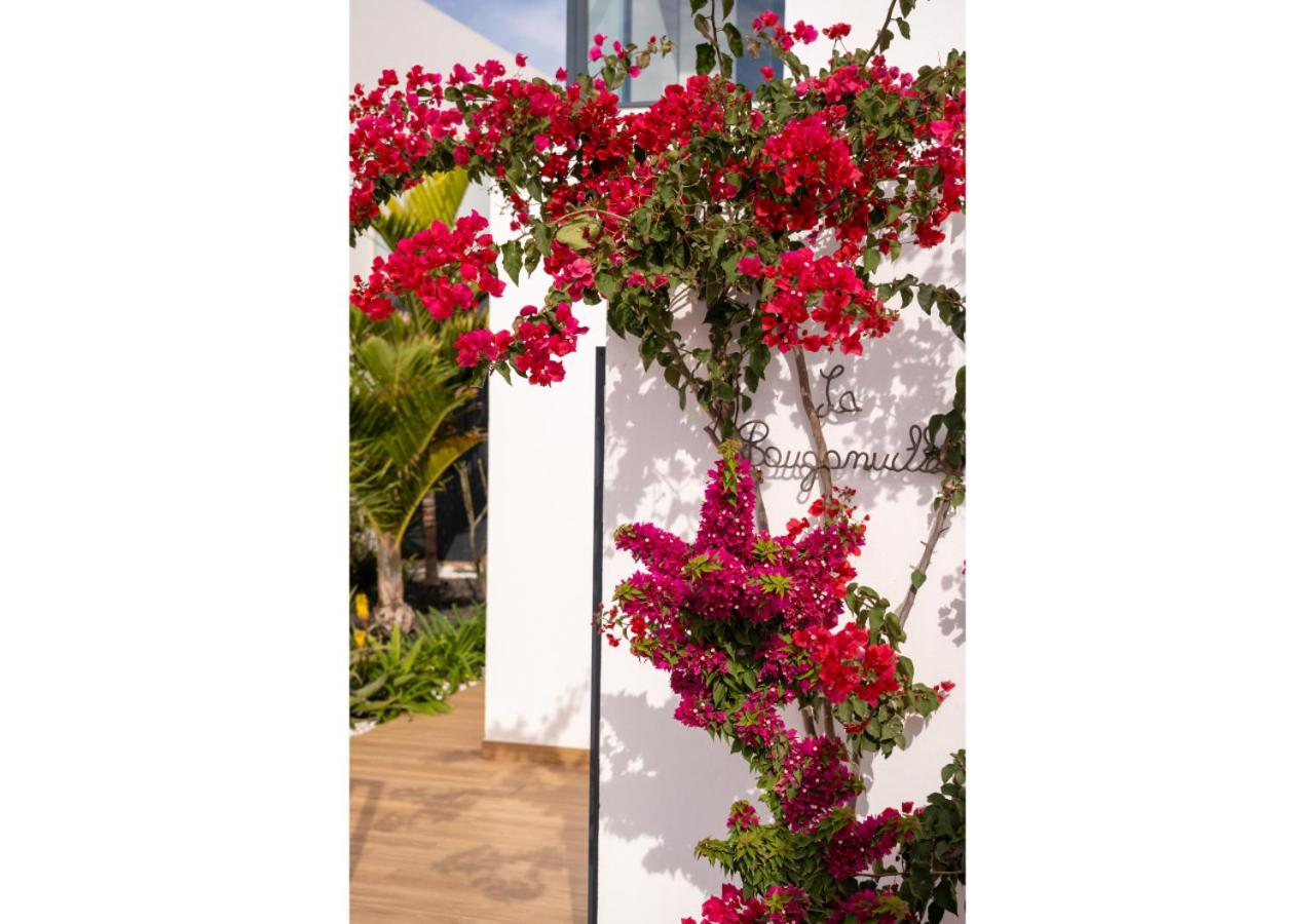 Casa Bouganvillea