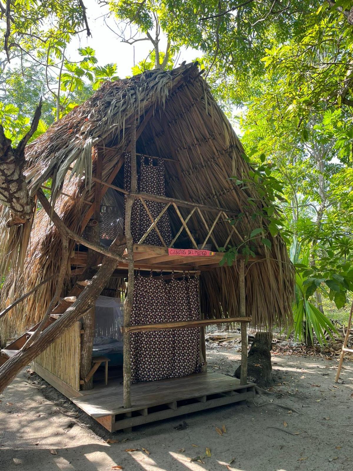Eco-Camping Mango Feliz Rincón del Mar view 4
