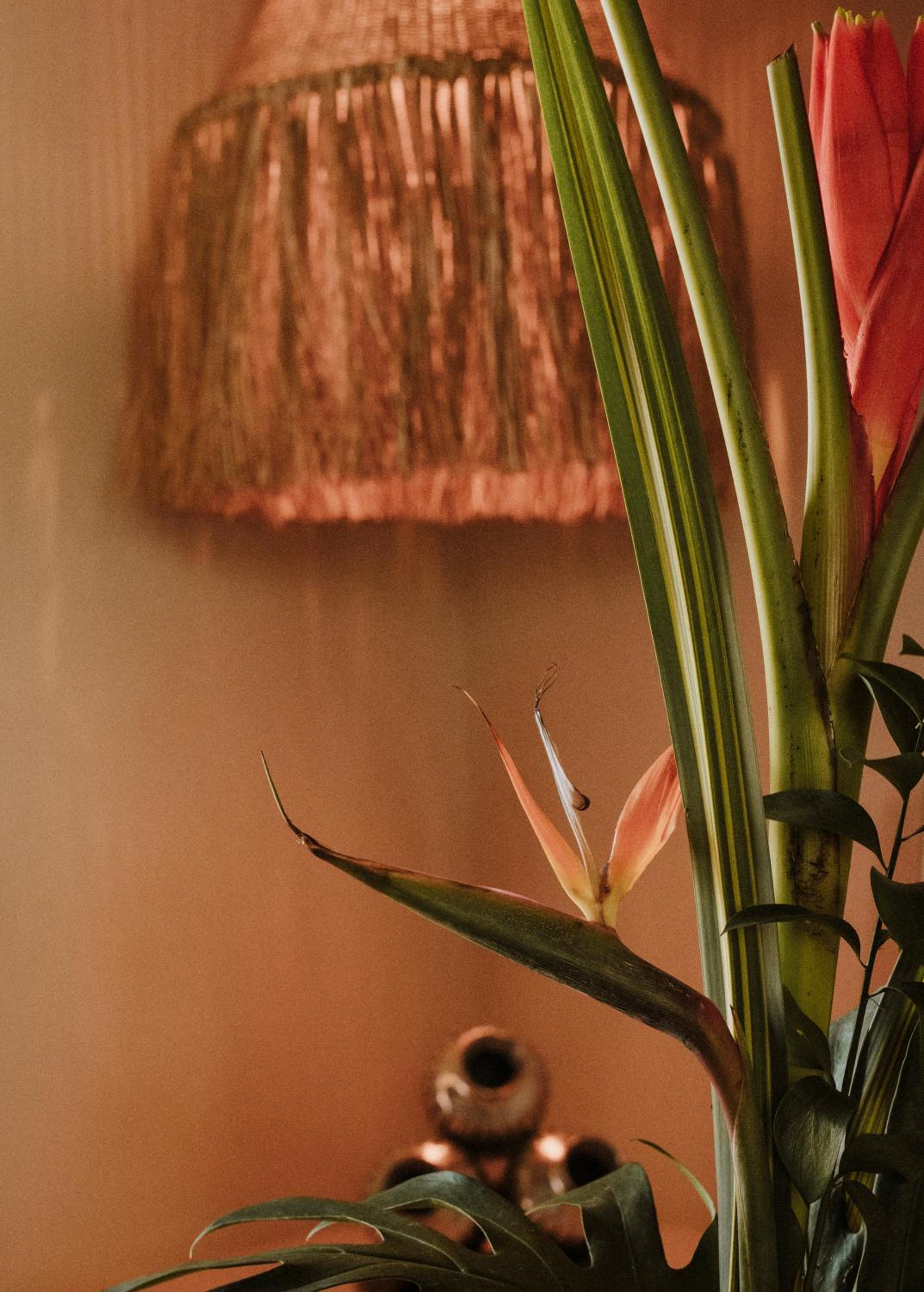 Casa Cascabel By Soho