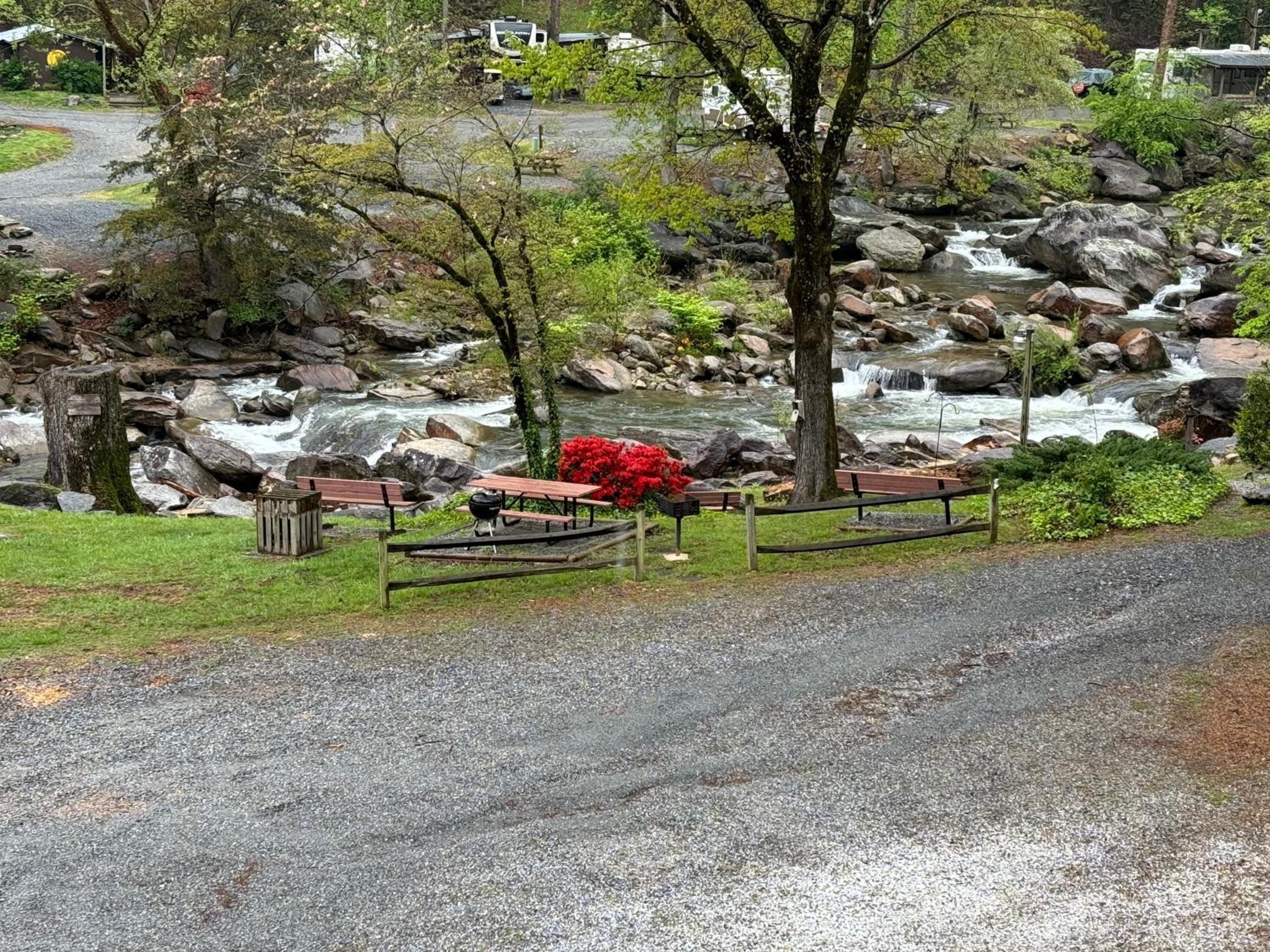 The Evening Shade River Lodge and Cabins